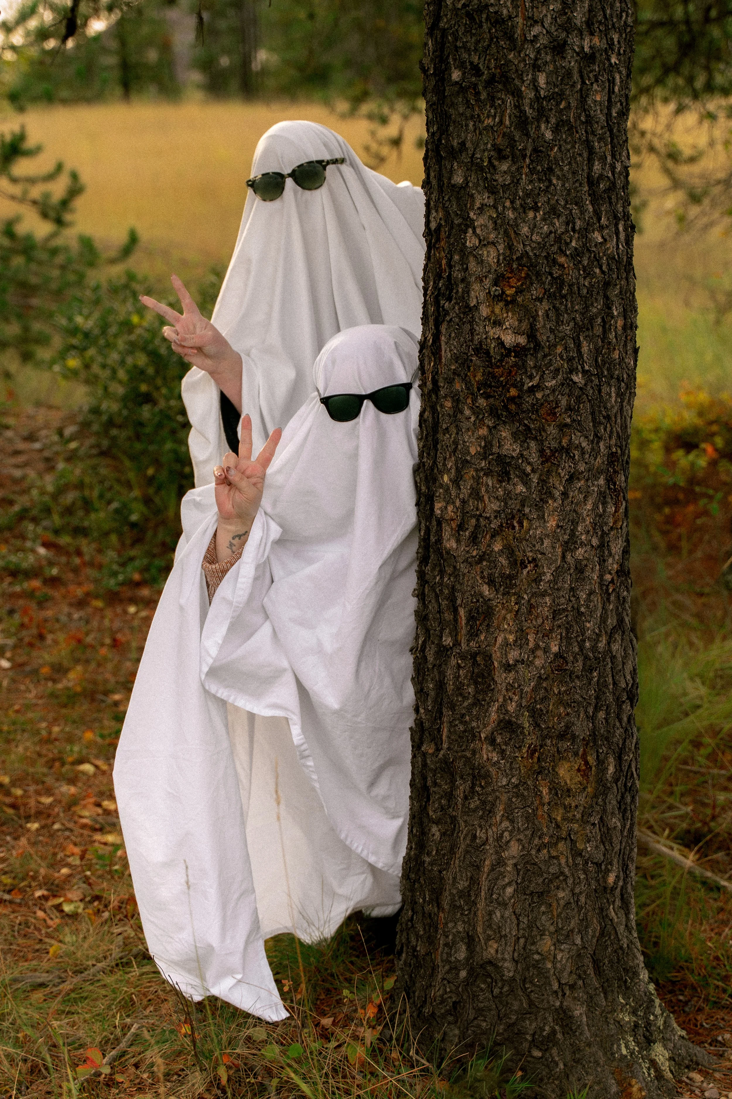 Person dressed as a ghost wearing sunglasses, peeking from behind a tree in a forest