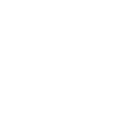 Spawn Ides logo in white