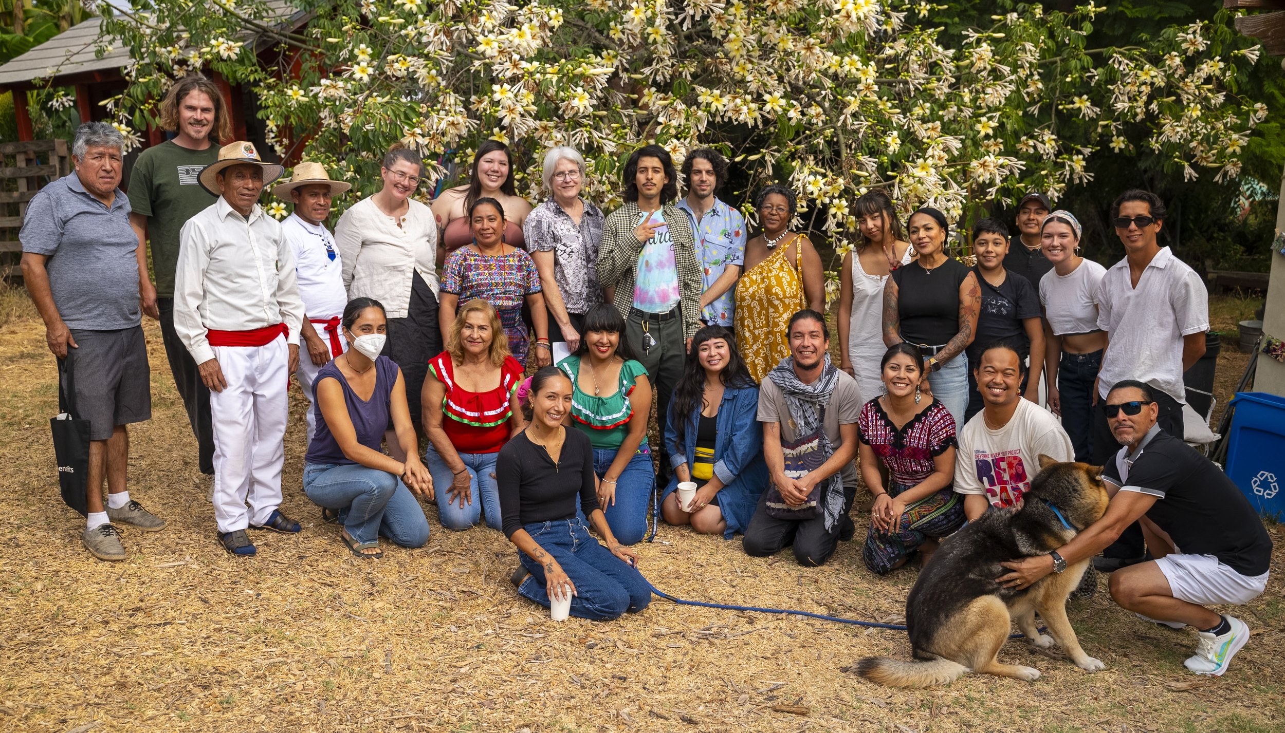 Amaranth_ESCG_workshop_13.jpg