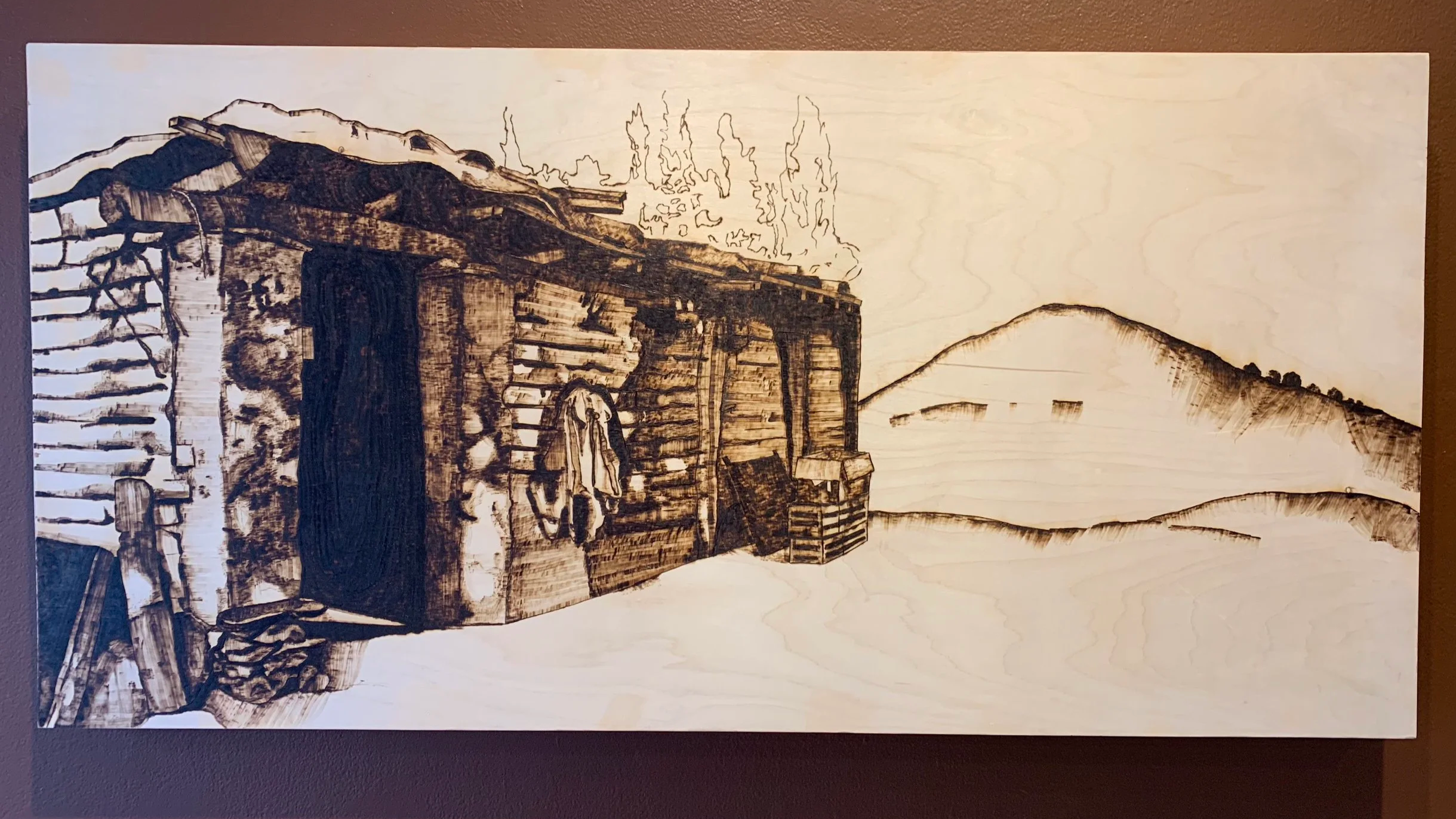 Puebla, 2019, heat on wood panel, 48 x 32 inches