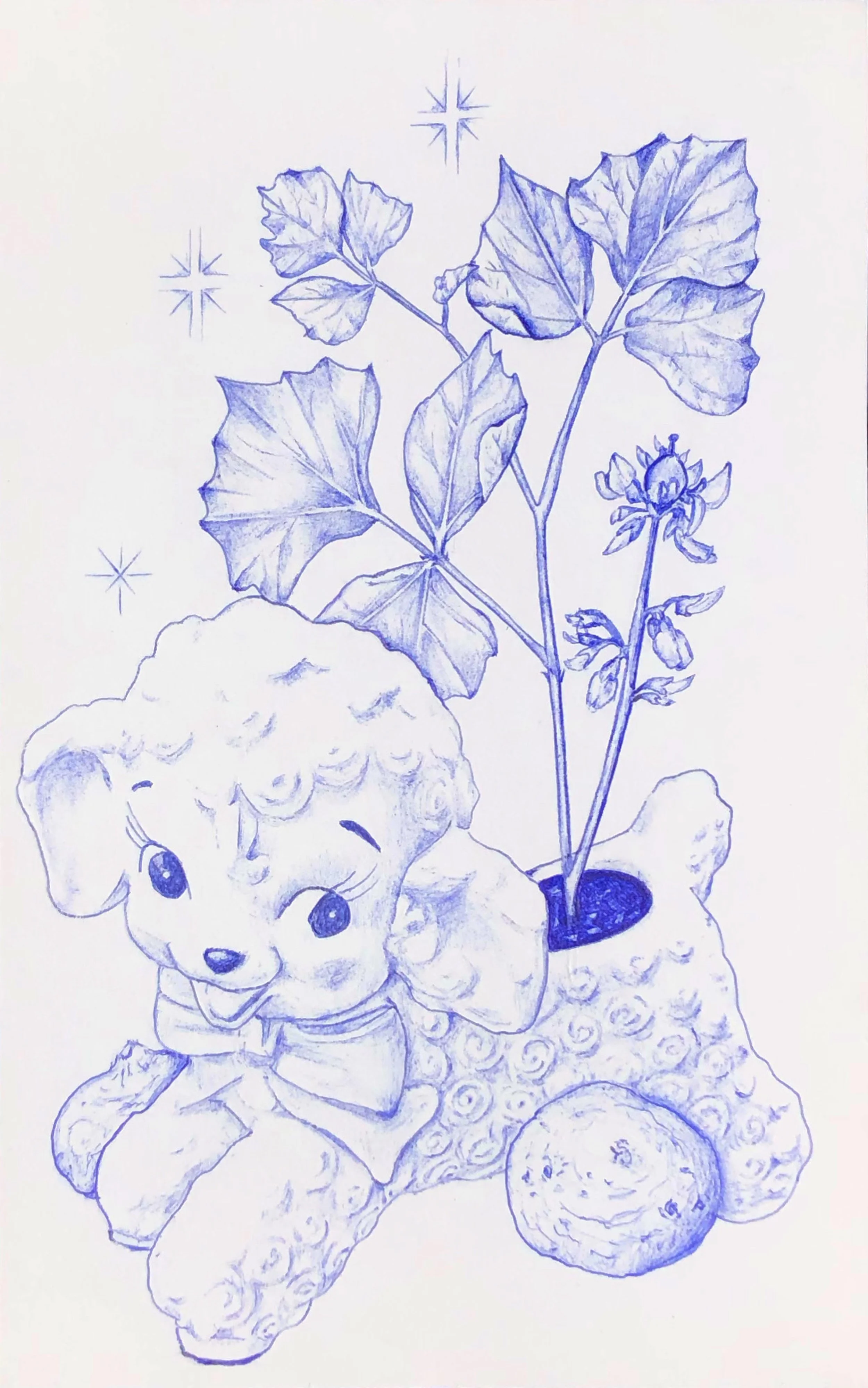 Jicama, 2020, ballpoint pen on paper, 5 x 8 inches