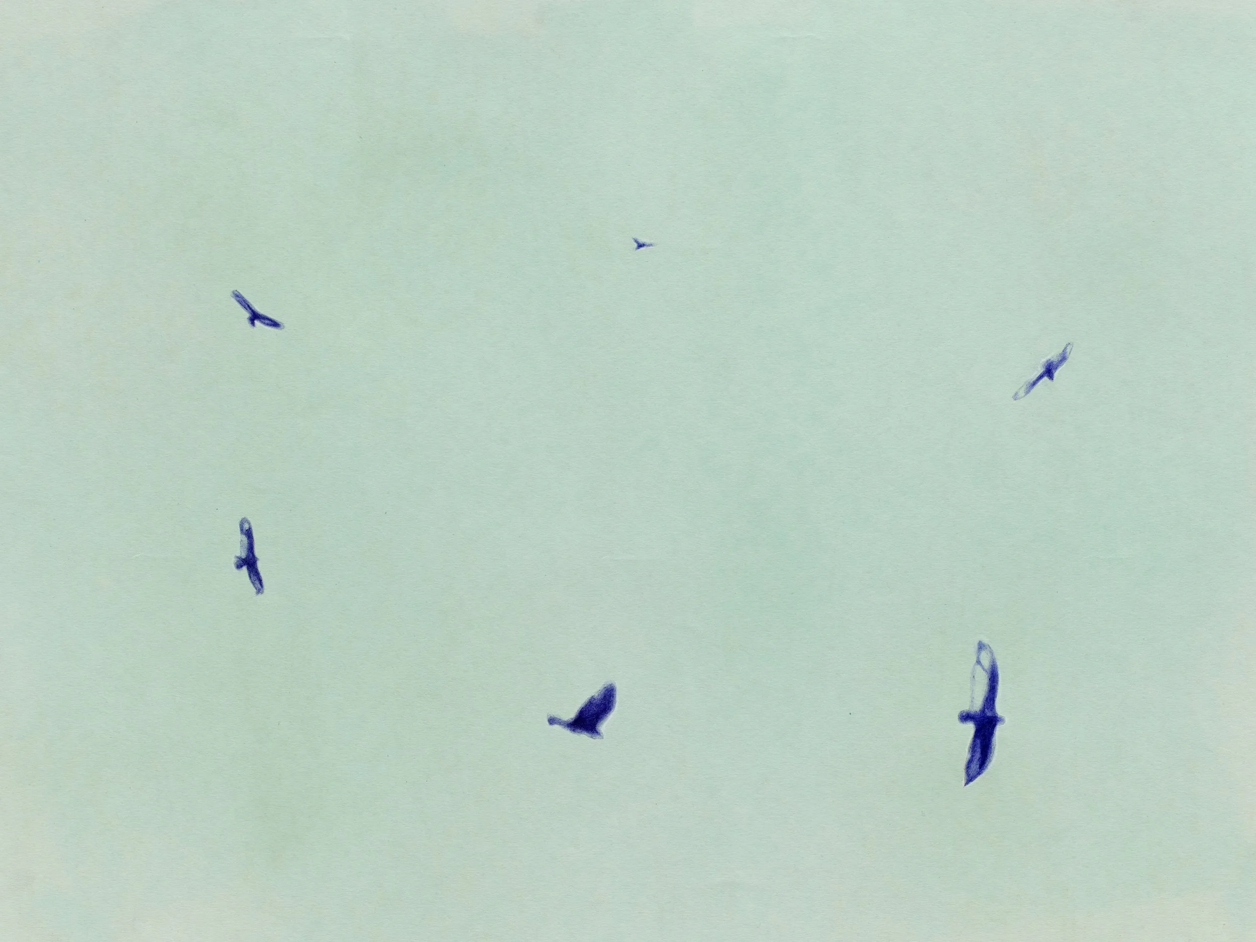Viento, 2025, ballpoint pen on paper, 21 x 29 inches