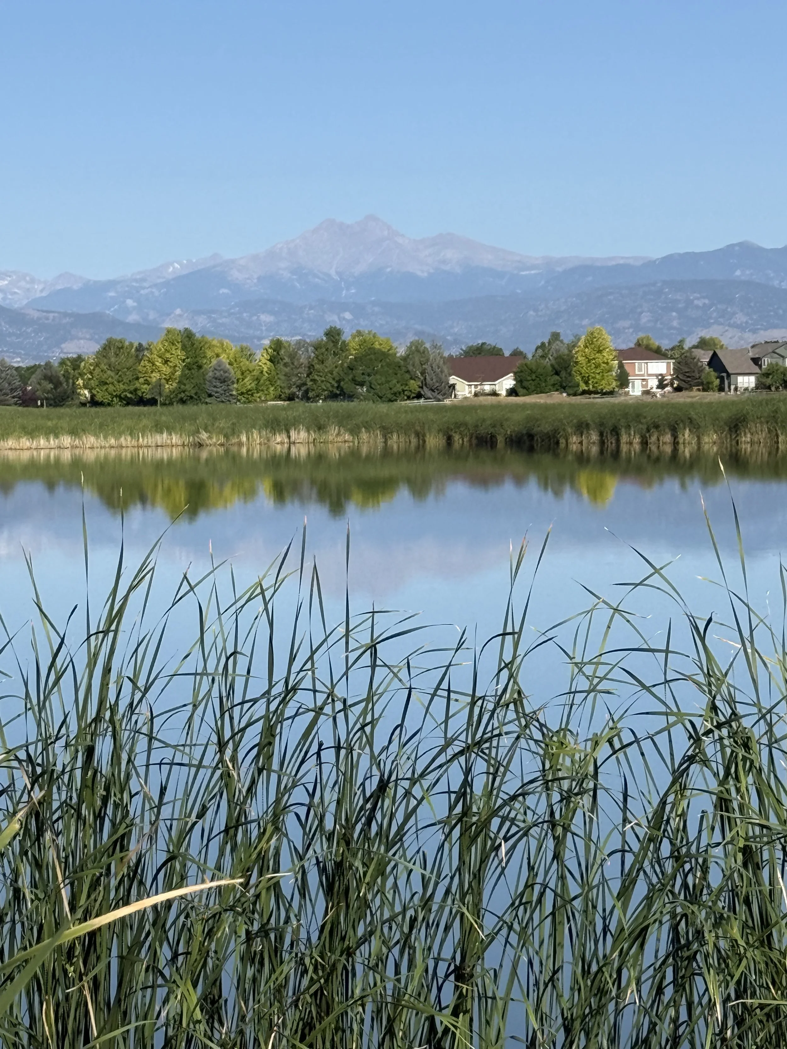 Longs Peak and the Front Range overlooking a Longmont, Colorado neighborhood