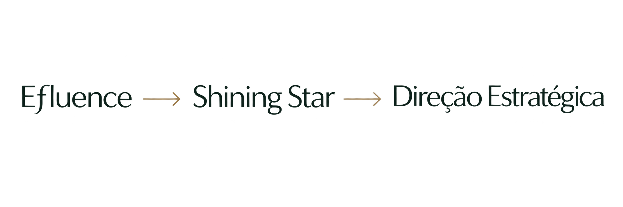 Evolução do trabalho de Dani Sallaberry: Efluence, Método Shining Star e Direção Estratégica.