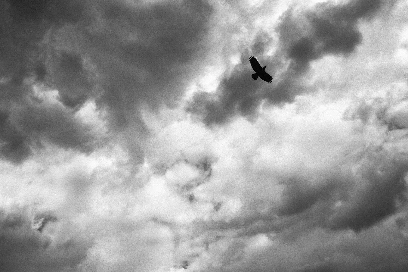 A silhouette of a bird flying in a cloudy sky.