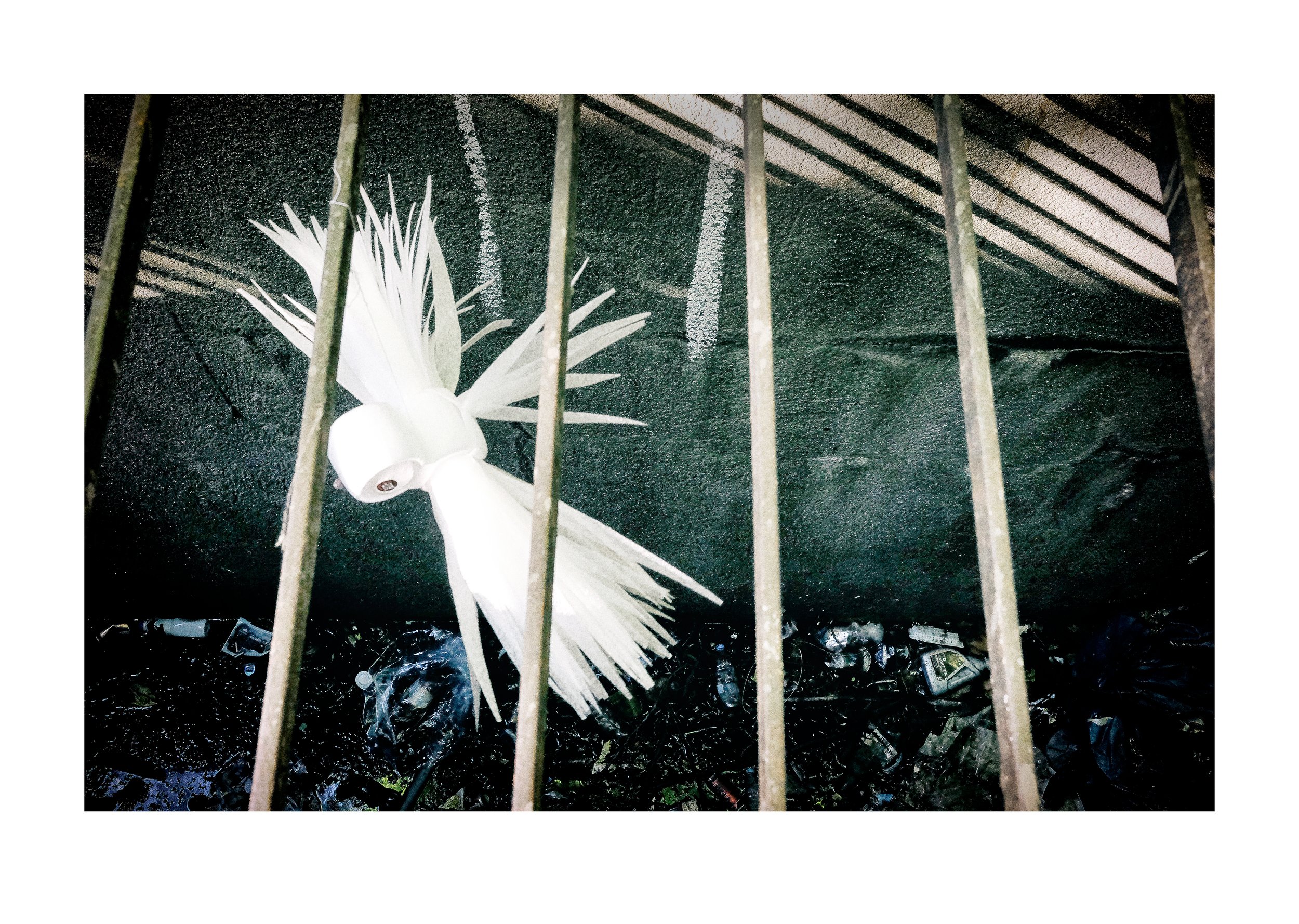 A white model of a squid with detailed tentacles is placed in front of dark textured wall and a metal fence with vertical bars.
