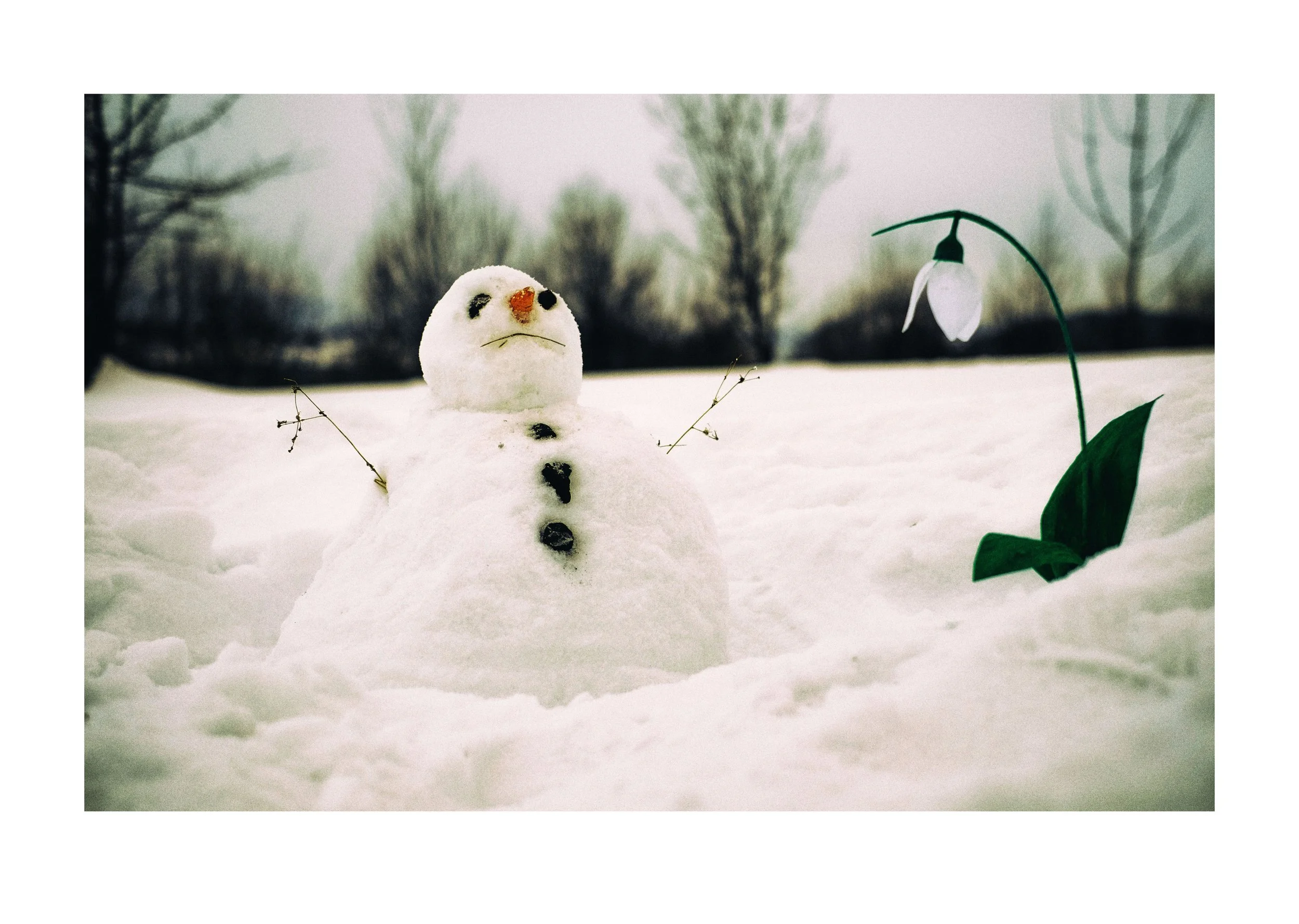 A small snowman with a carrot nose and smiley face made of black stones, standing in the snow with a snowdrop flower nearby and a wintery landscape in the background.
