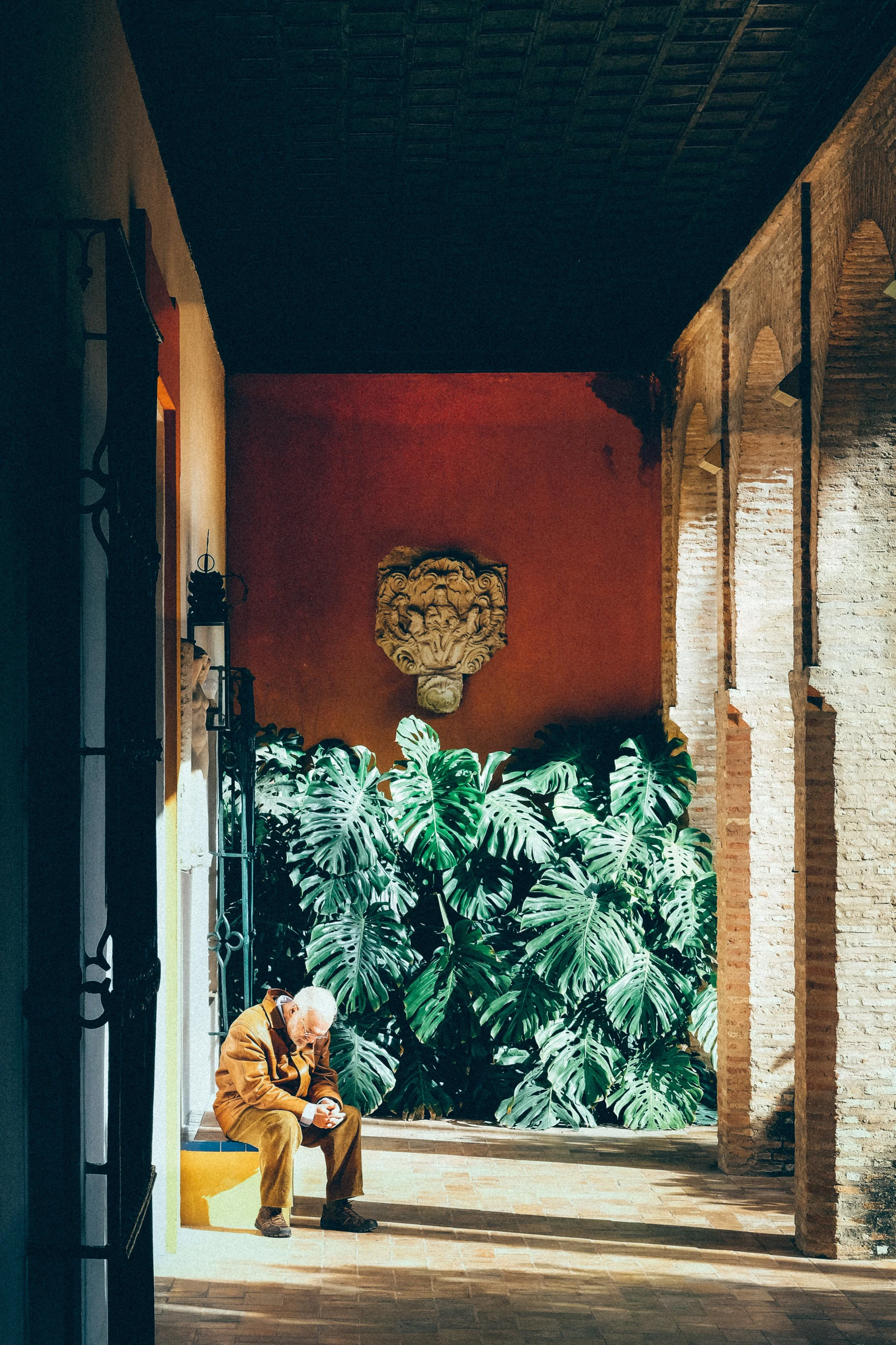 An elderly man with white hair sitting on a yellow bench, reading a book or paper, inside a rustic indoor space with brick arches and large green leafy plants in the background.