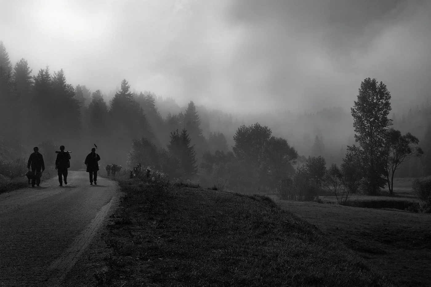 Three people walking along a dirt road on a foggy day, surrounded by trees and mist.