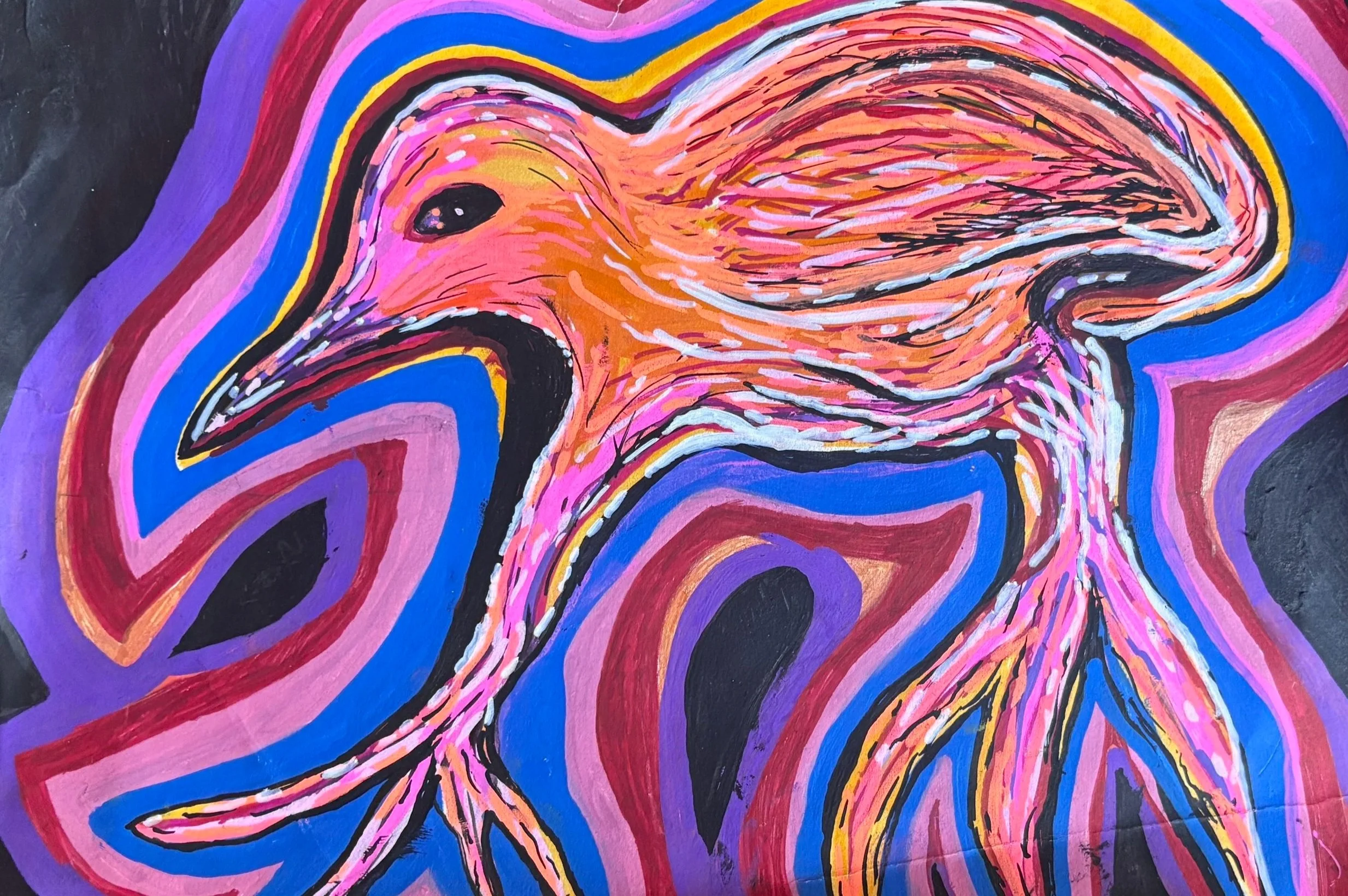 Kiwi, 2026, available as print and original