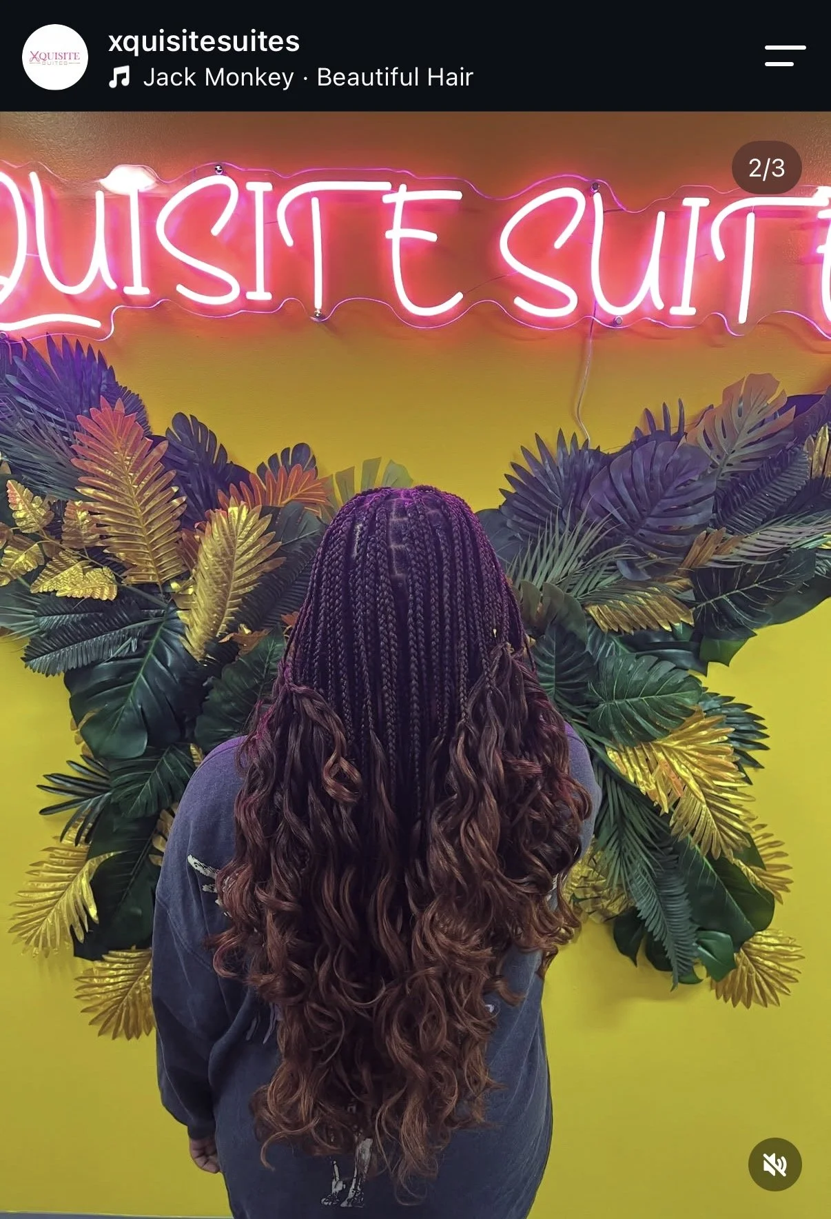 Back of a woman with long, curly, multicolored braids, standing in front of a yellow wall decorated with green, purple, and gold tropical leaves, and a pink neon sign that reads 'Music Express'.