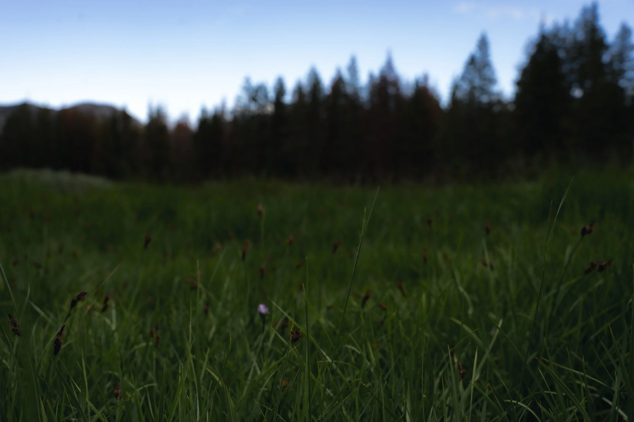 untitled-92.jpg