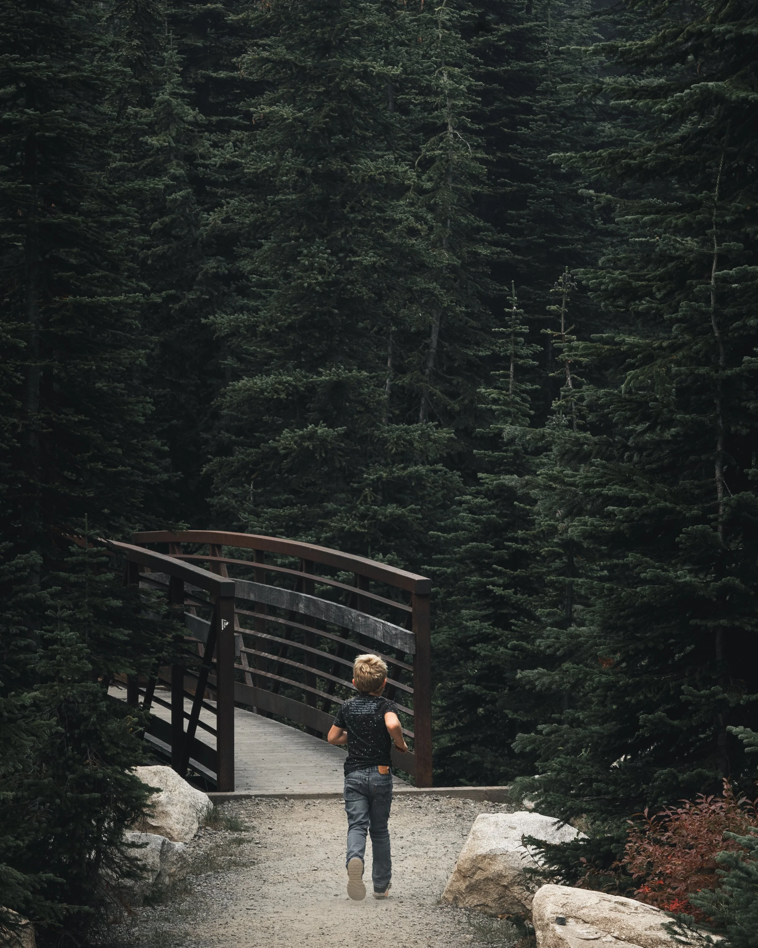 A young boy walking on a gravel trail with a wooden bridge in front of dense tall pine trees in a forest environment.