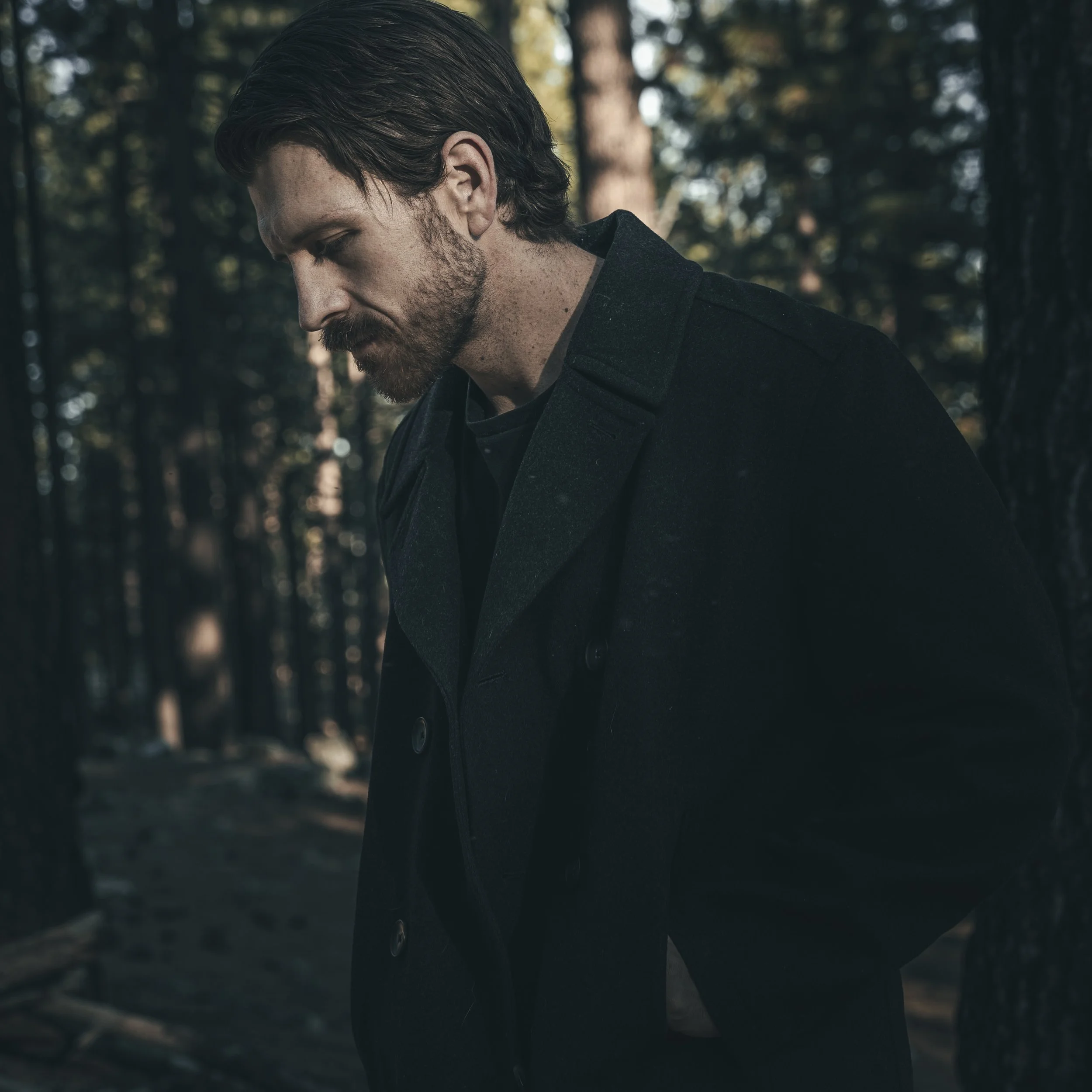 A man with dark hair and a beard, looking down, outdoors in a forested area with sunlight filtering through the trees.
