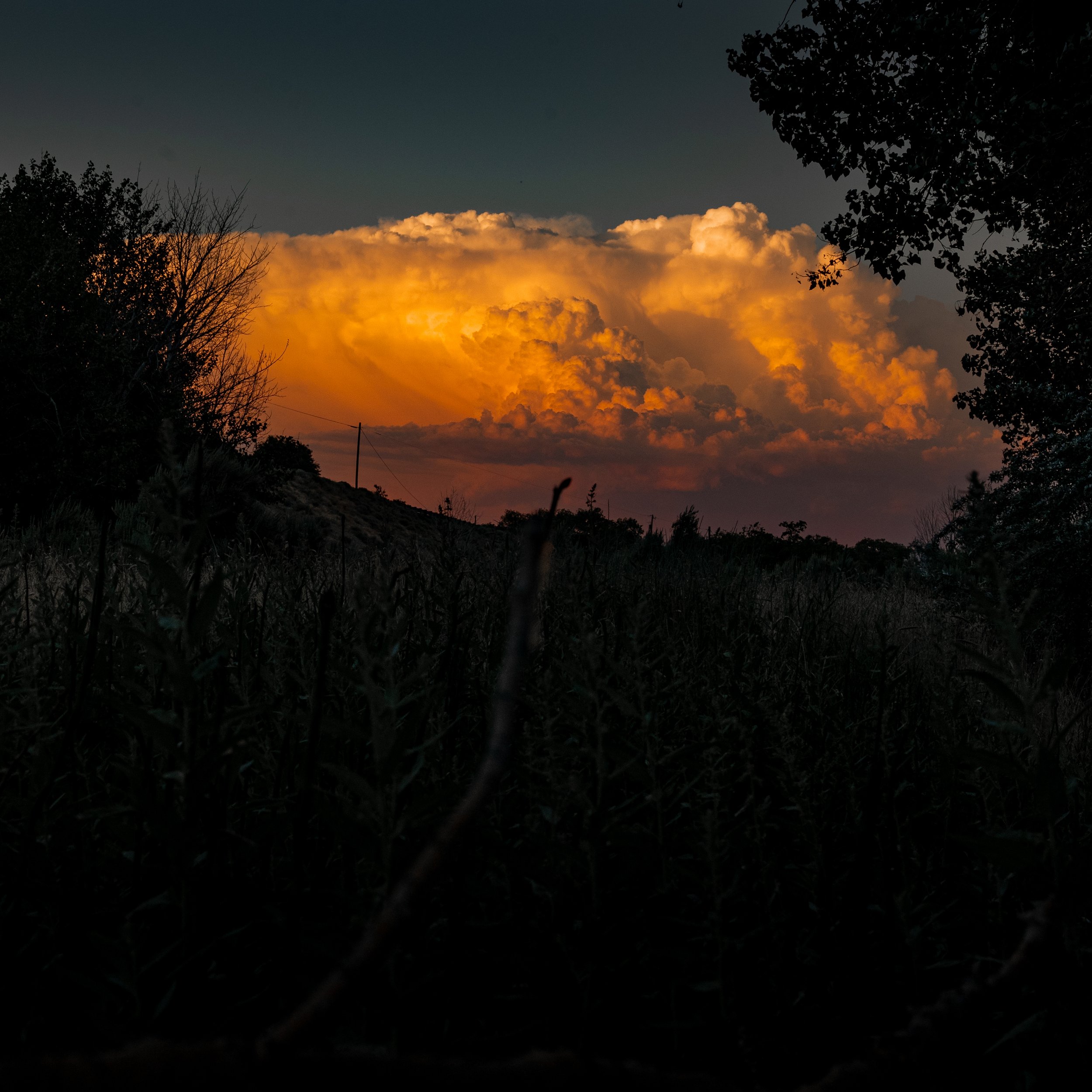 untitled-64.jpg