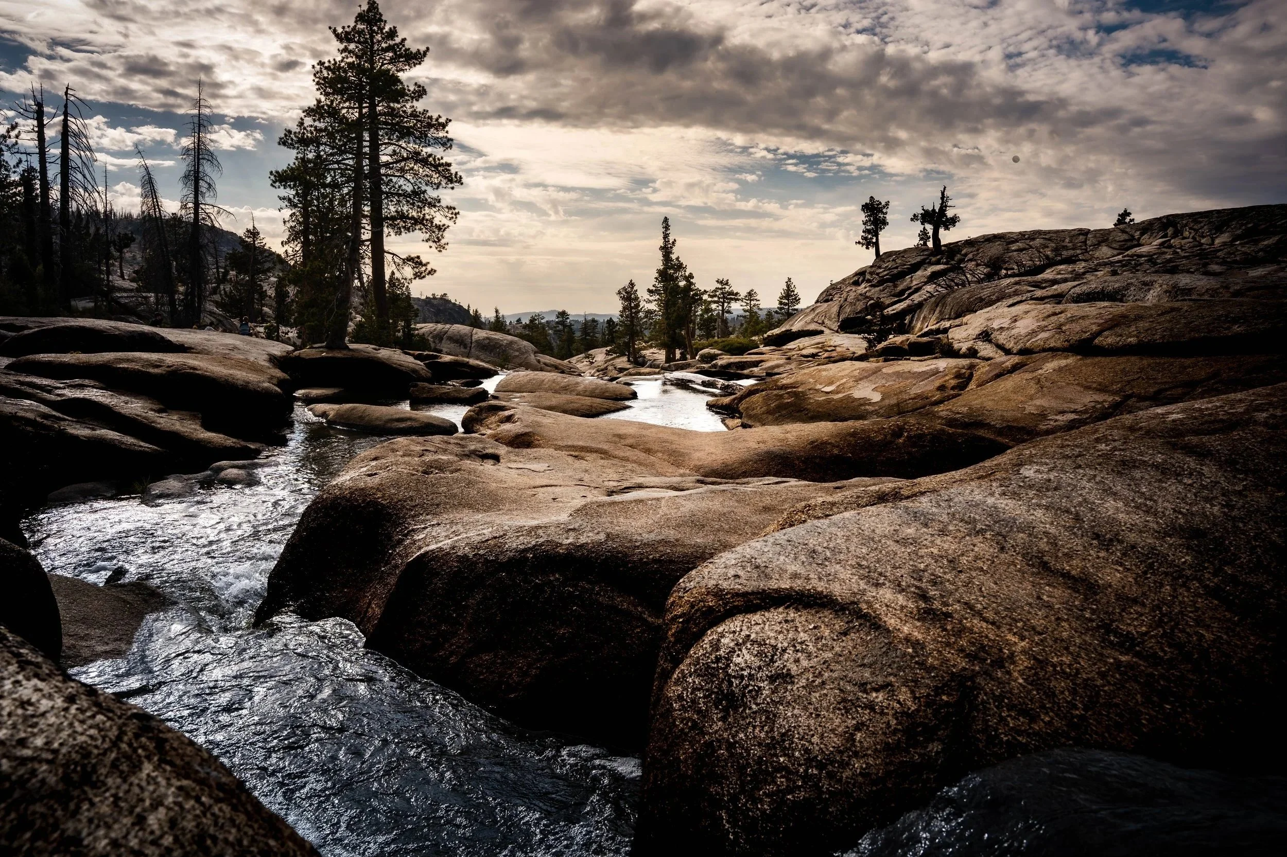 A rocky stream flowing through a forest with tall pine trees under a cloudy sky during daylight.