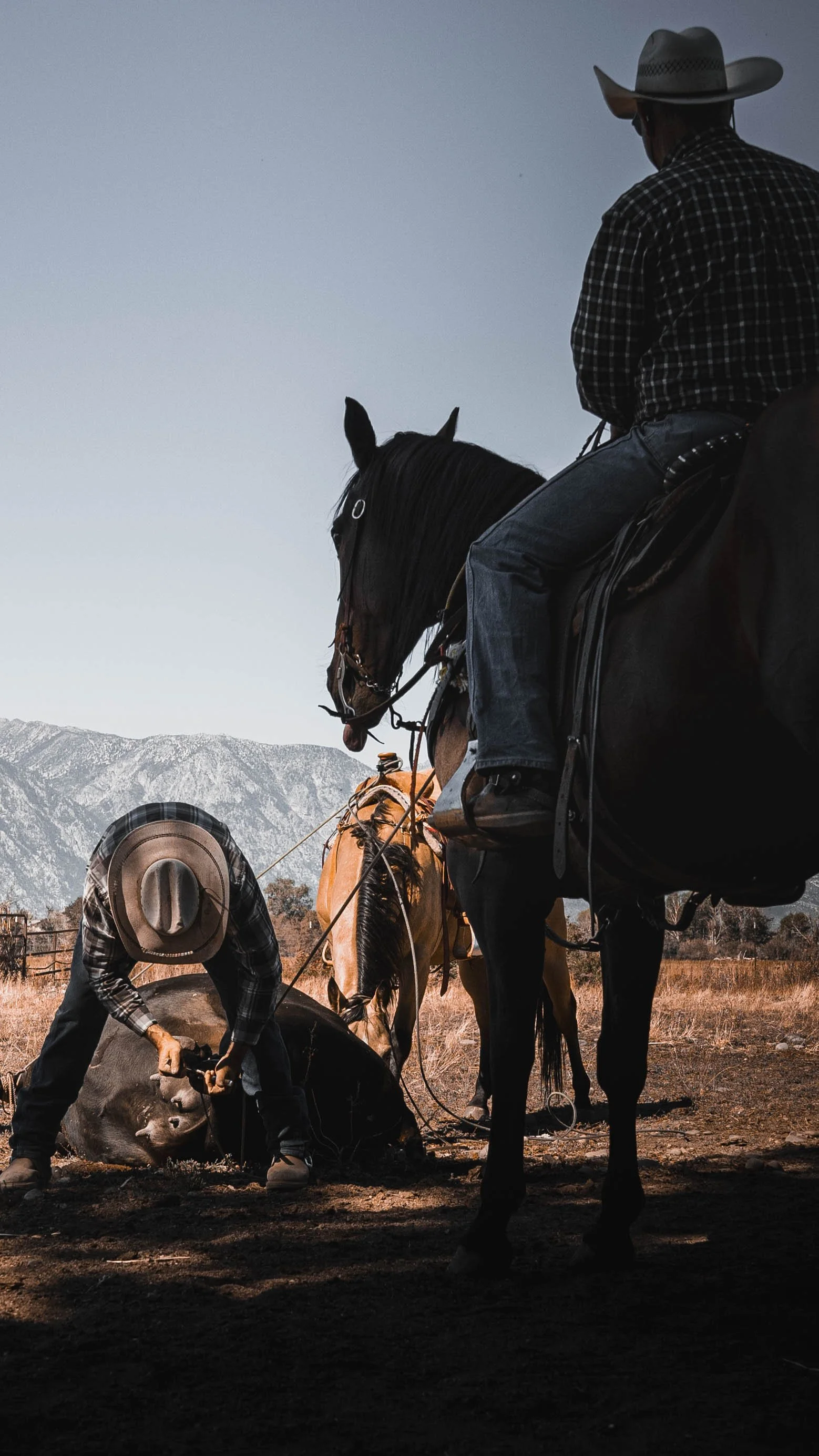 A person wearing a cowboy hat, plaid shirt, and jeans is working on a horse lying on the ground, while another person on horseback looks on, with mountains in the background.