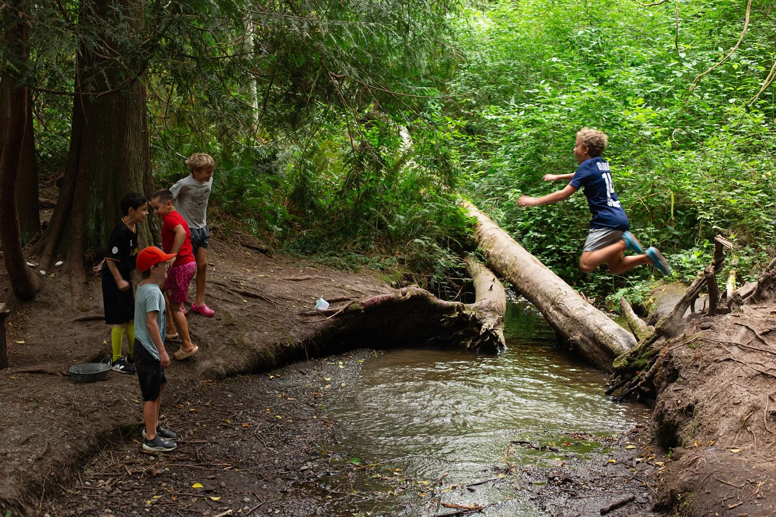 The Stream