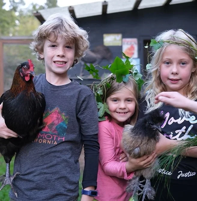 Three children with chickens outdoors, one boy holding a black rooster and two girls holding a rabbit, with a wooden building in the background.