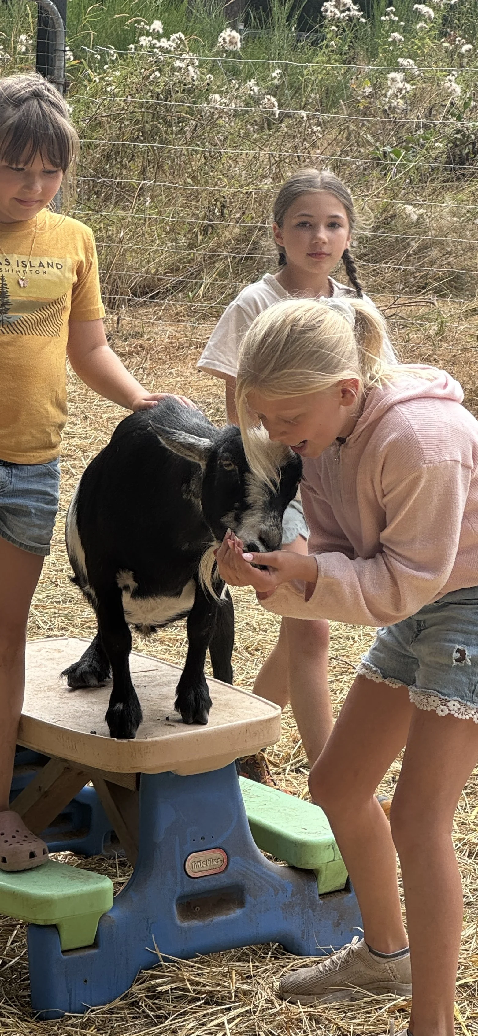 Fall Afterschool Farm Camps