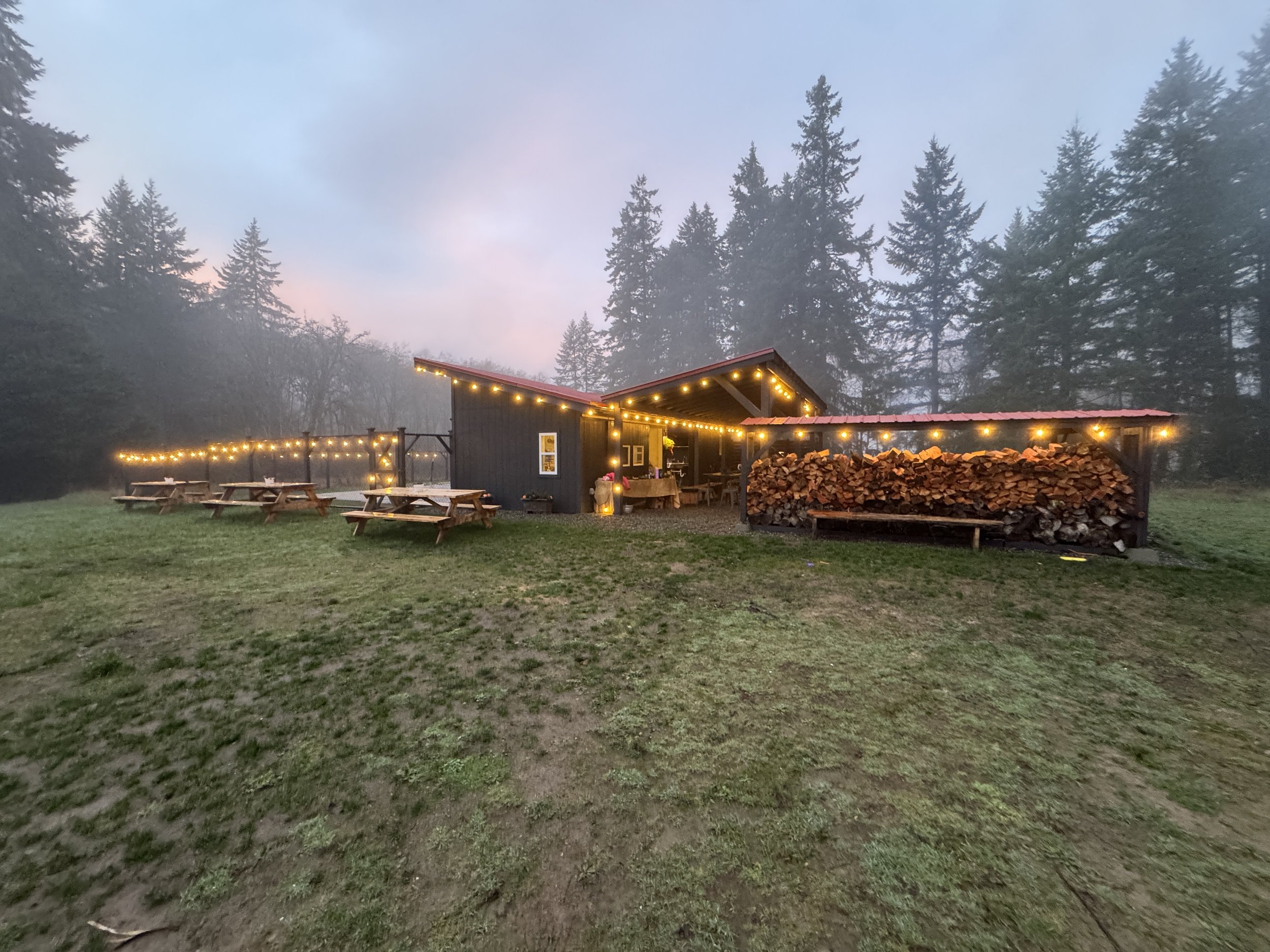 A wooden building with string lights, picnic tables, and a large stack of firewood outdoors surrounded by tall trees, with foggy sky.