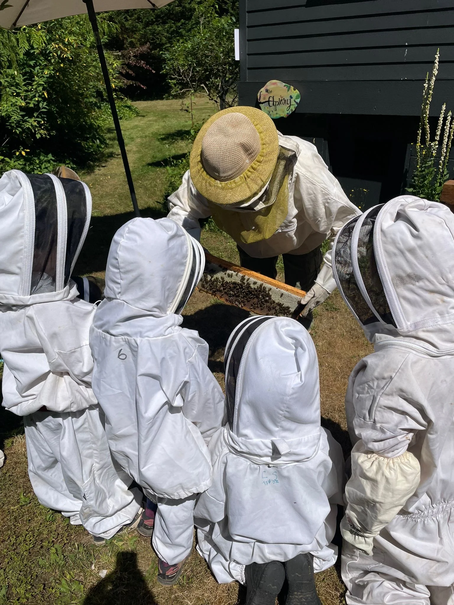 A person wearing a beekeeping suit and gloves, holding a honeycomb frame with bees. There are other children in similar suits around them. The setting appears to be outdoors with greenery and a structure in the background.