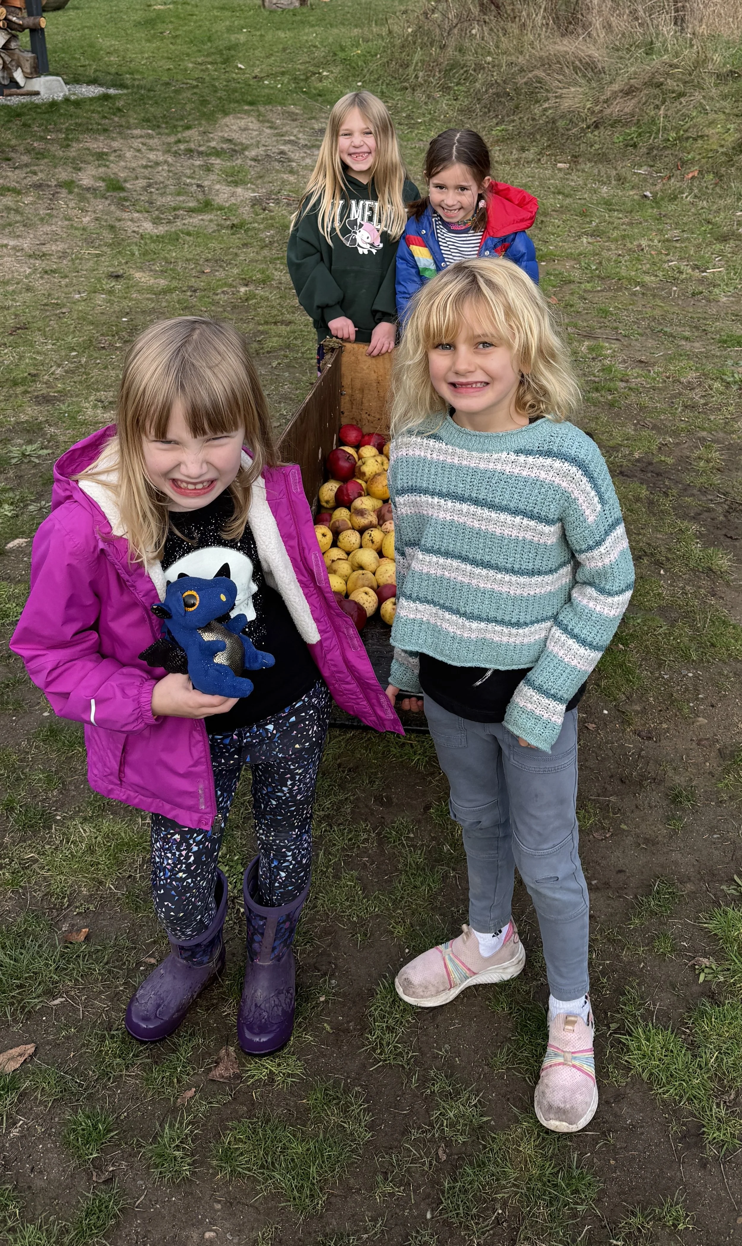 Fall Afterschool Farm Camps