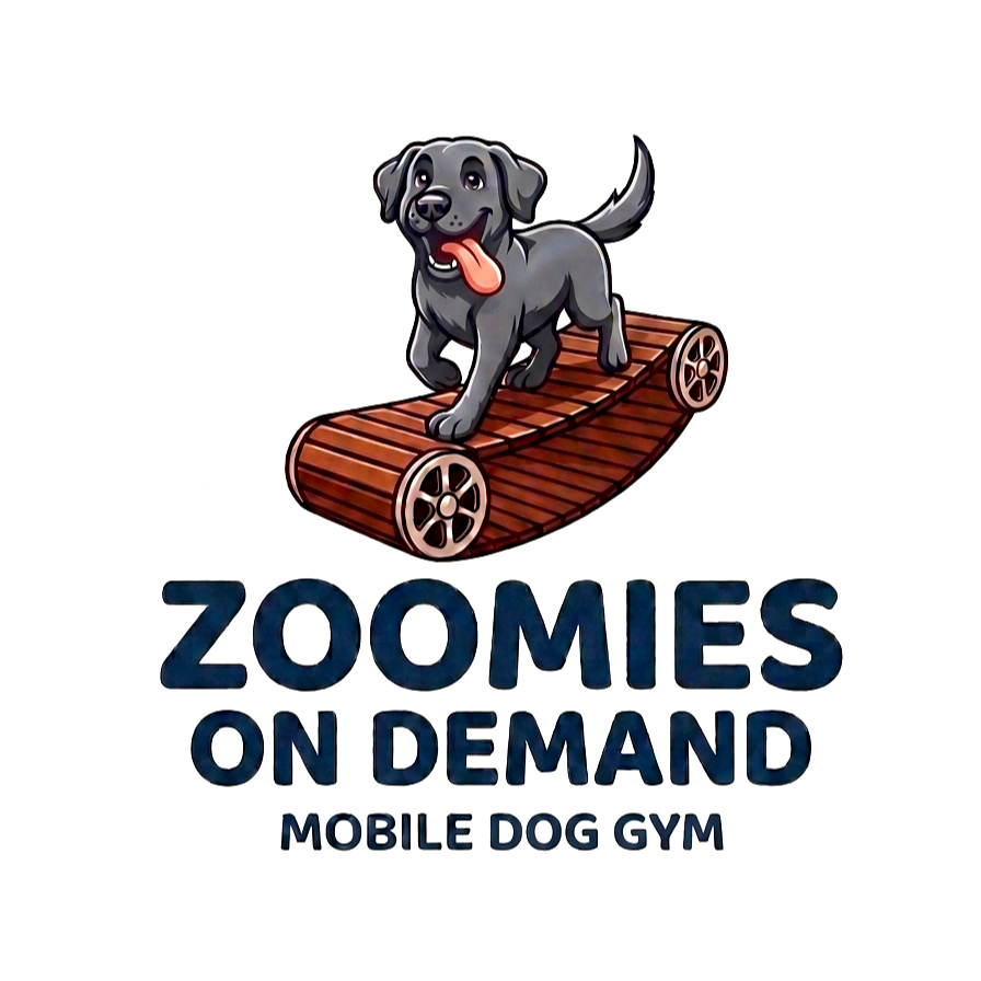 Zoomies On Demand