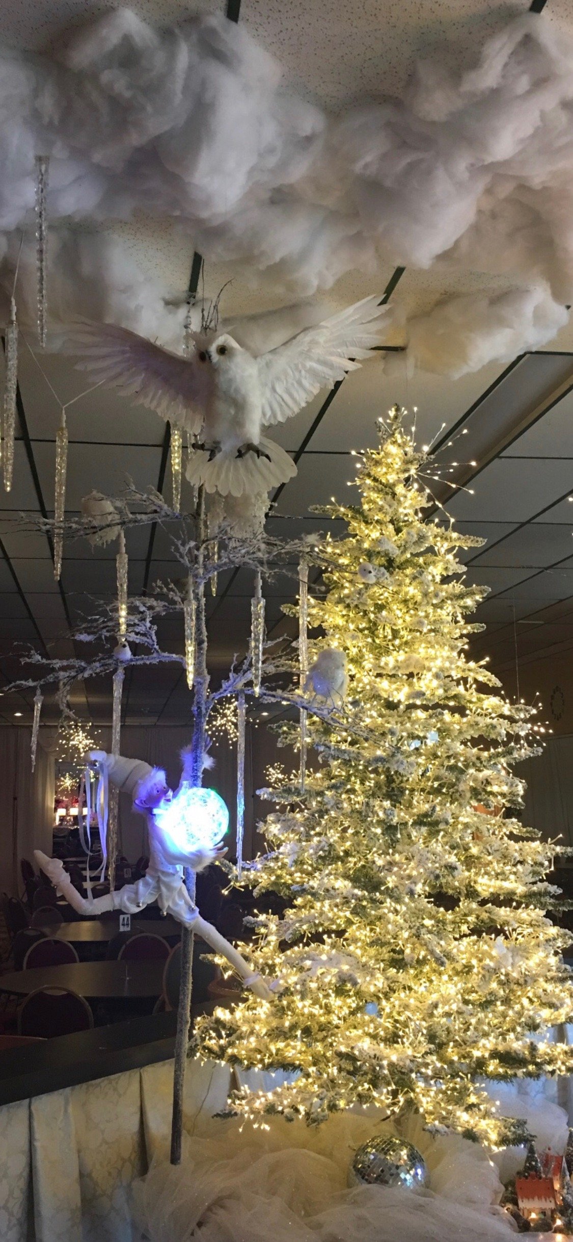 IMG_0787.jpg