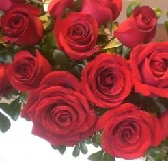 valentines-day-roses-3-image-courtesy-of-wikipedia-commons.jpg