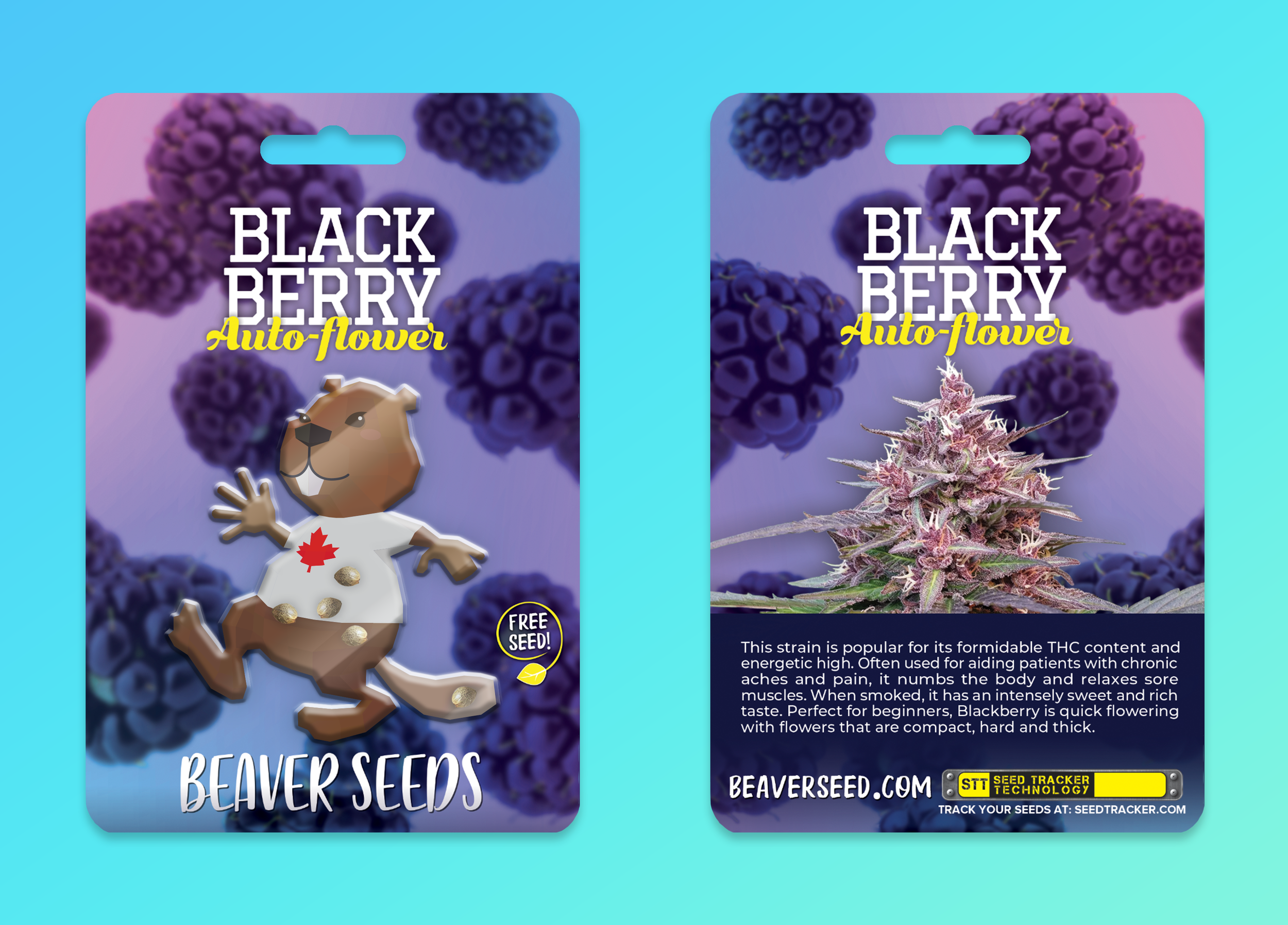 blackberry.webp