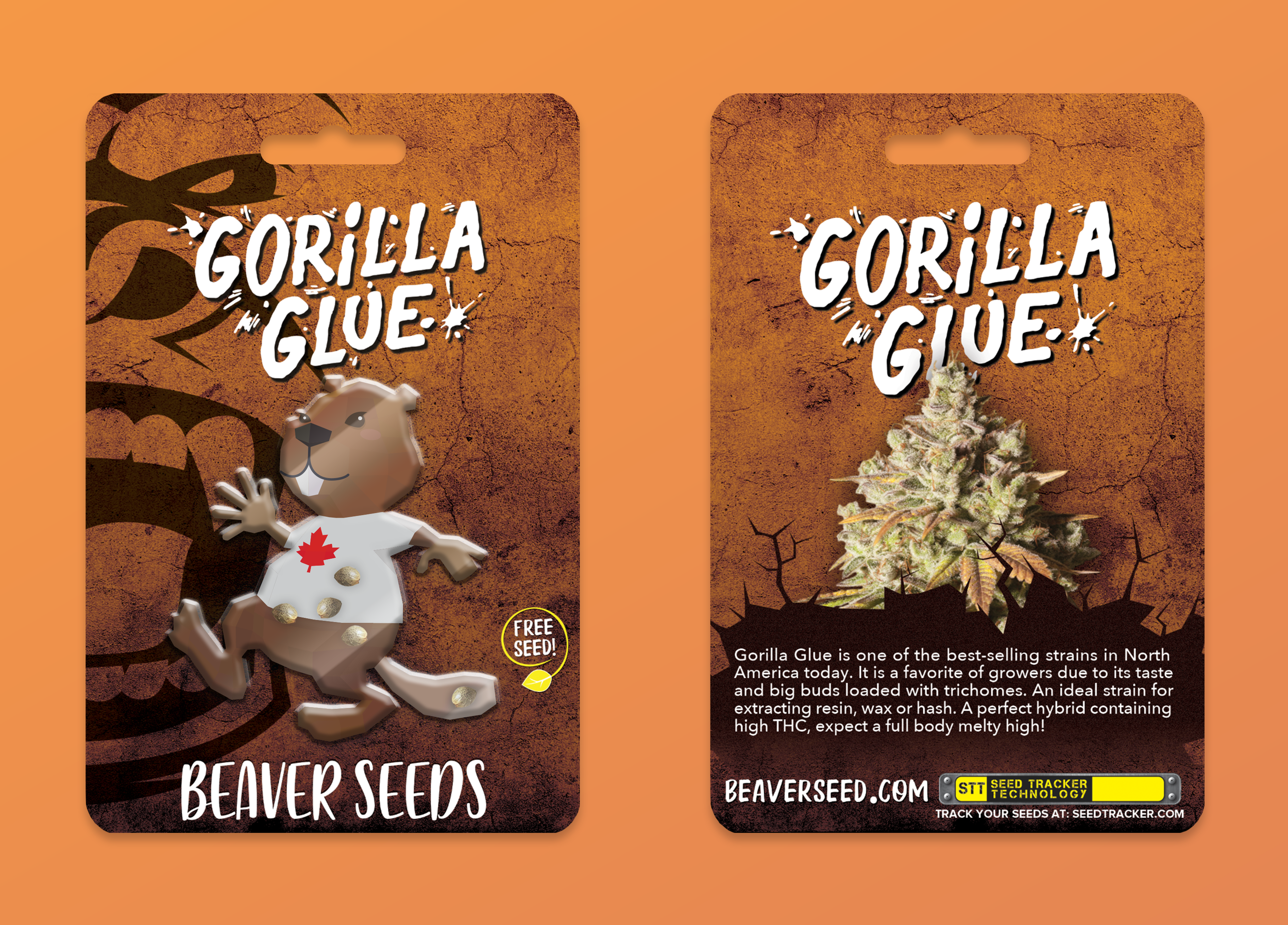 gorilla.webp