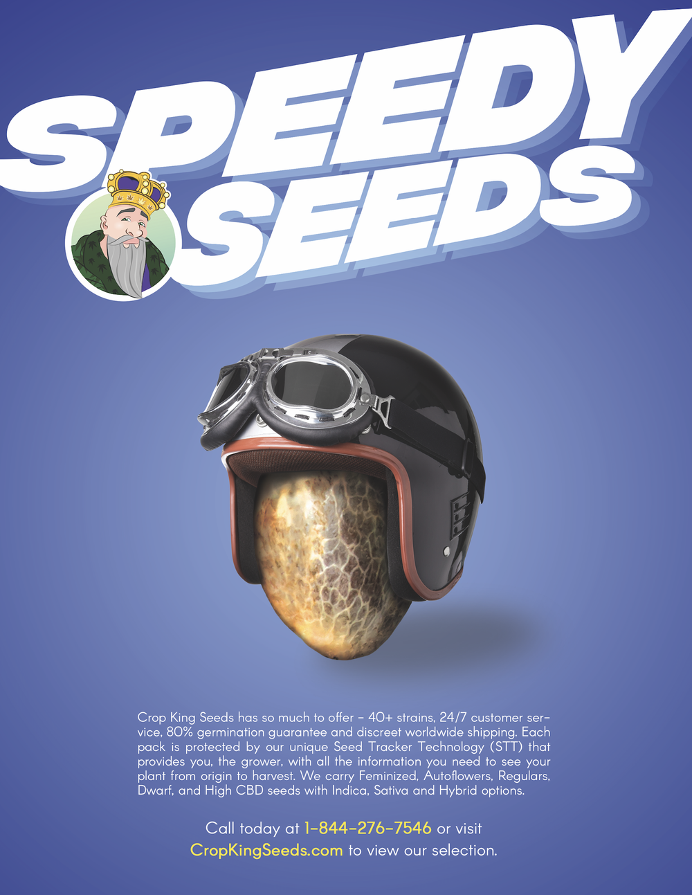 Screen+Shot+2019-06-04+at+9.50.30+AM.webp