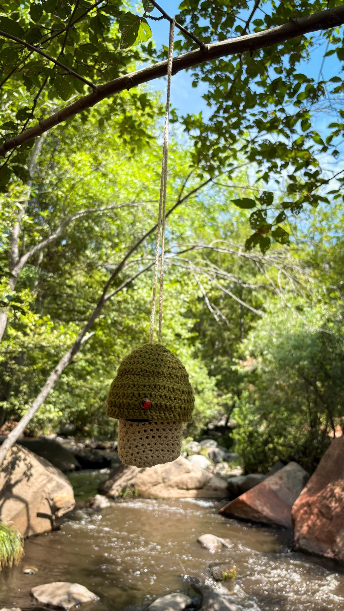Mushroom Holder