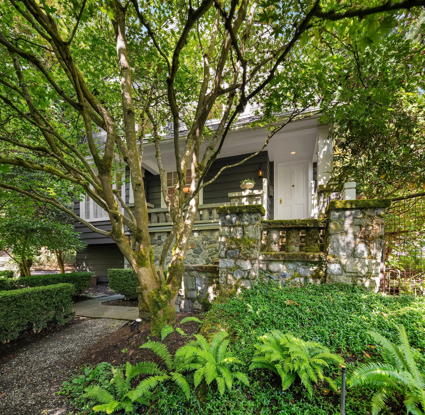 View of a house partly obscured by lush greenery and tall trees with vibrant green leaves, stone stairs leading up to the porch, and a paved pathway below.