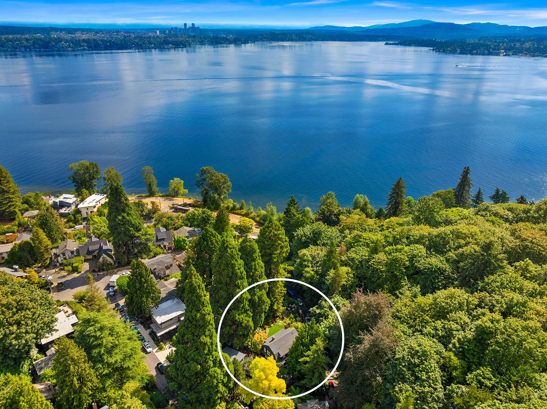 Aerial view of a residential neighborhood with houses surrounded by tall trees, overlooking a large body of water with a distant city skyline and mountains in the background.