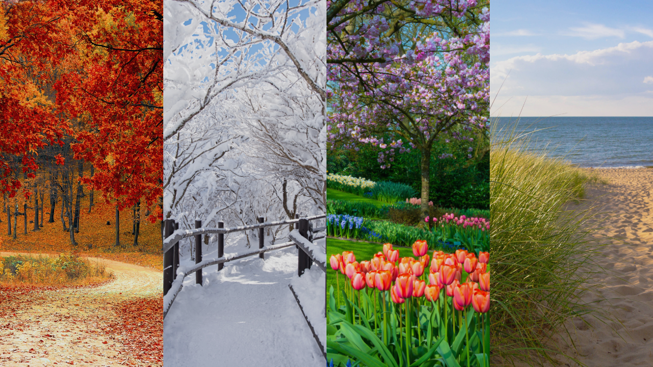 5 Pop-By Ideas for Real Estate Agents for Every Season