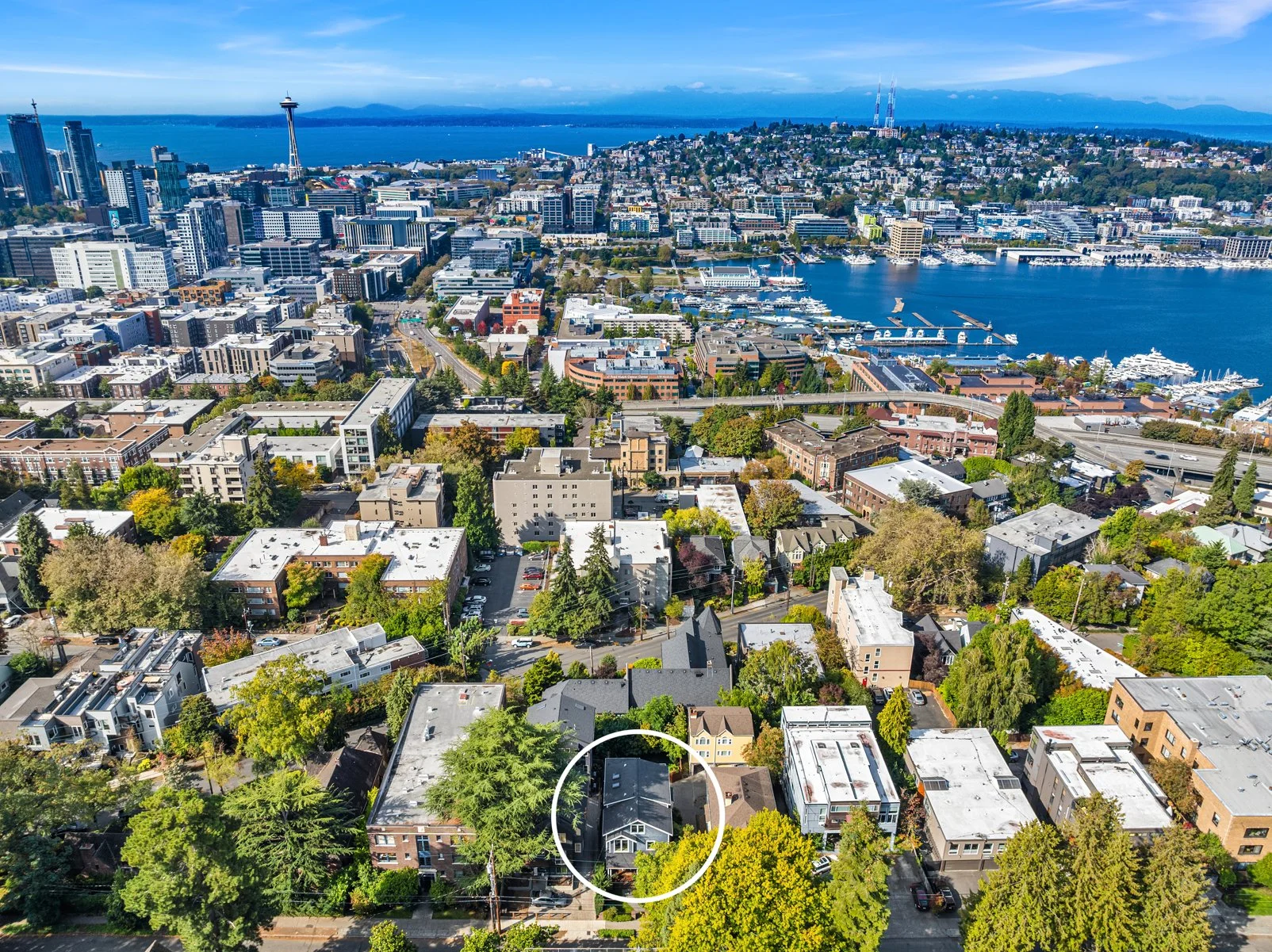 Aerial view of Seattle, Washington, with downtown skyline, Space Needle, waterfront with boats, and surrounding residential neighborhoods with trees.