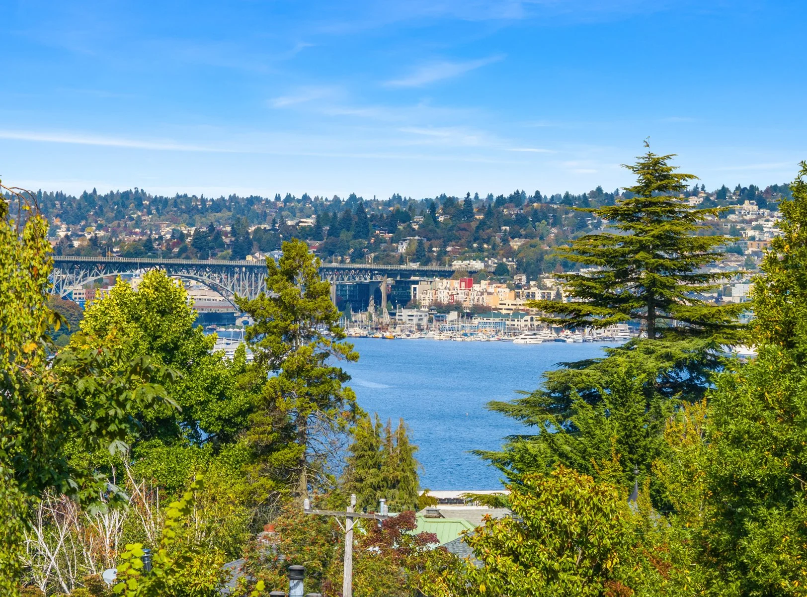 A scenic view of a bay with boats, a large green tree in the foreground, a bridge, and a hillside with houses in the background under a blue sky with some wispy clouds.