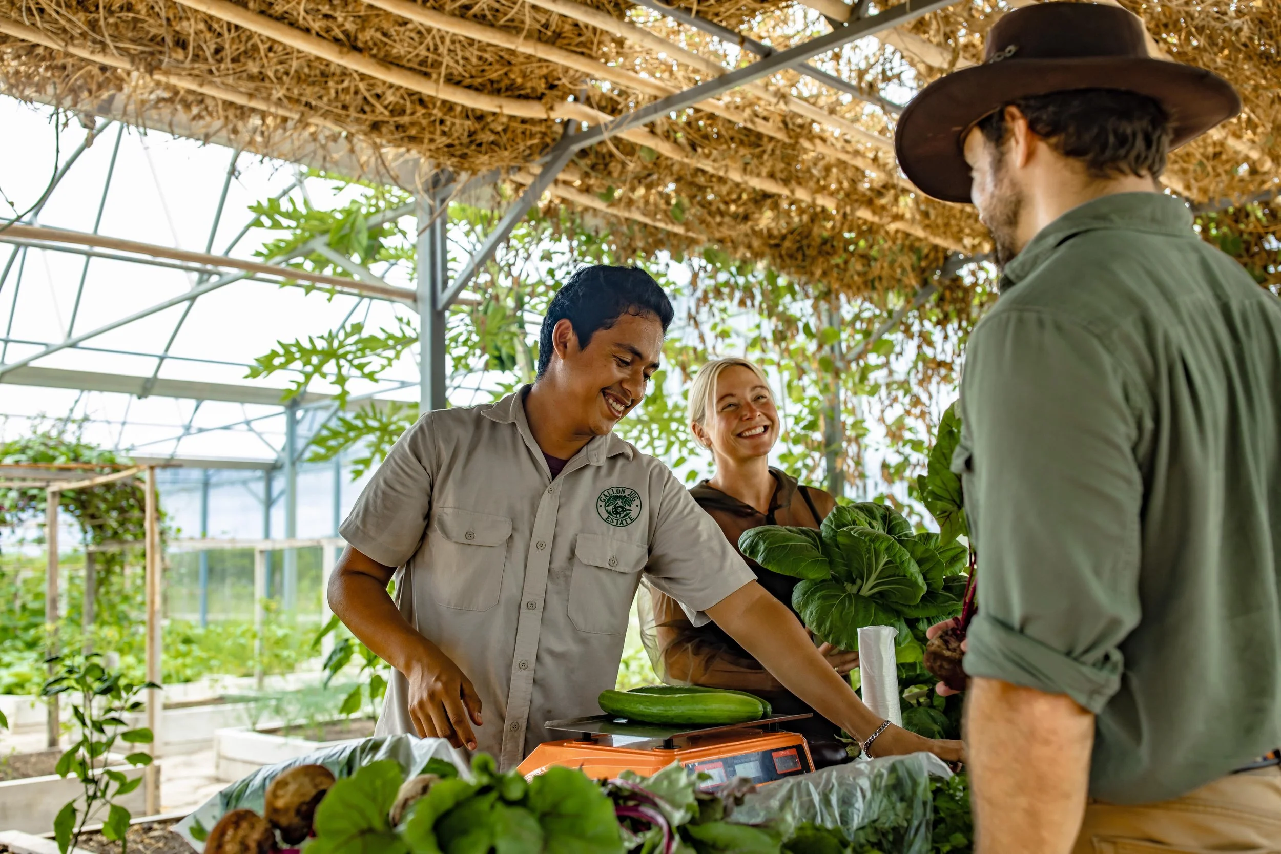 Two guests talk in a greenhouse while a staff member handles leafy greens