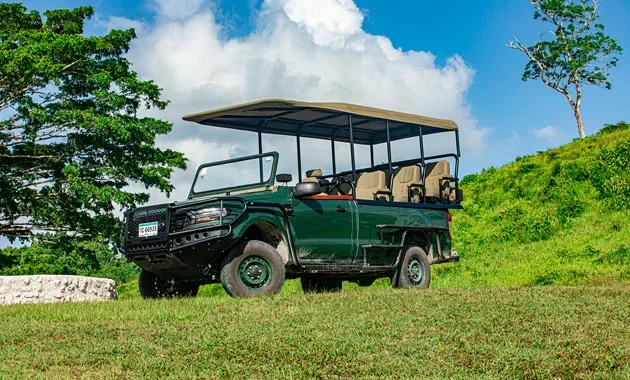 Green and black open-air electric safari vehicle parked on grassy field with trees and cloudy sky in the background.