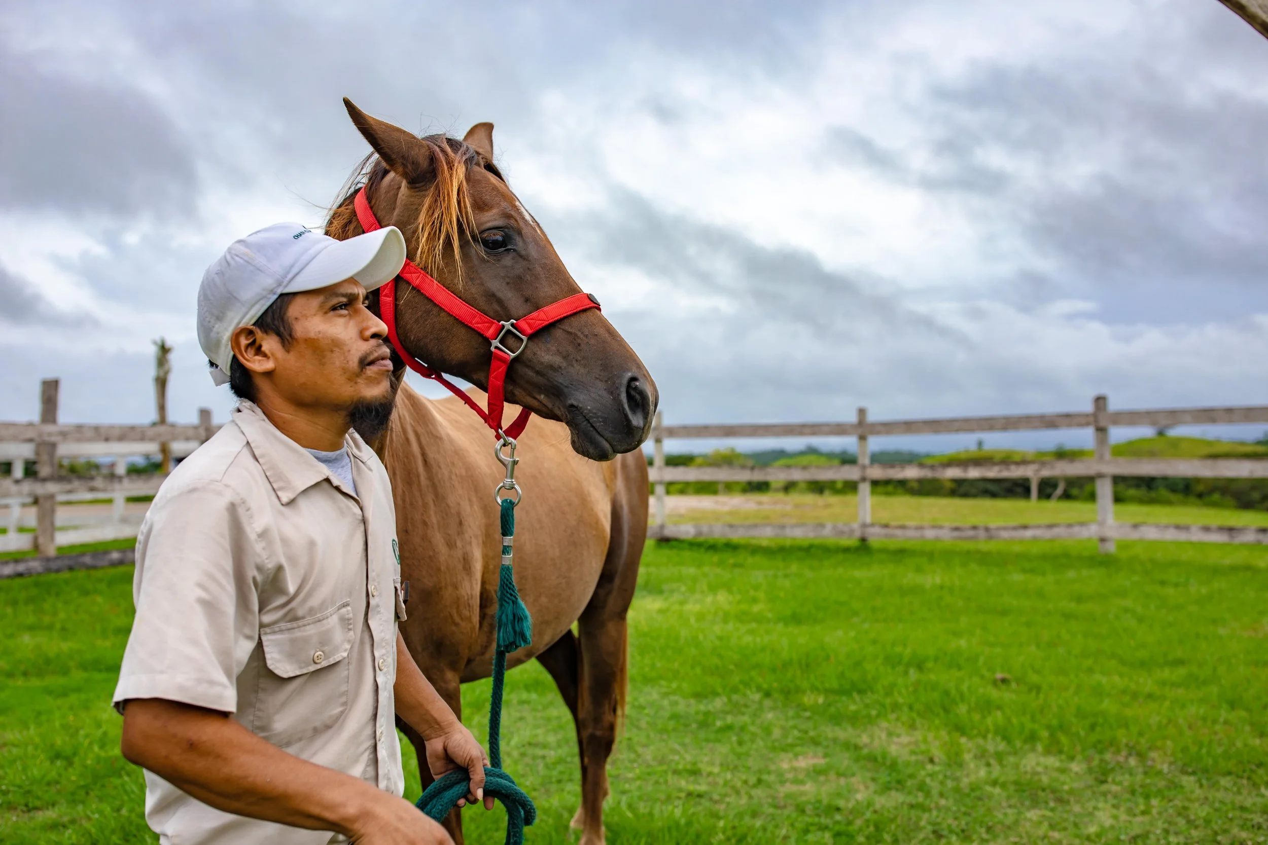 A man in a beige shirt and white cap holding a blue lead rope next to a chestnut horse with a red halter, standing in a grassy field with a wooden fence and a cloudy sky in the background.