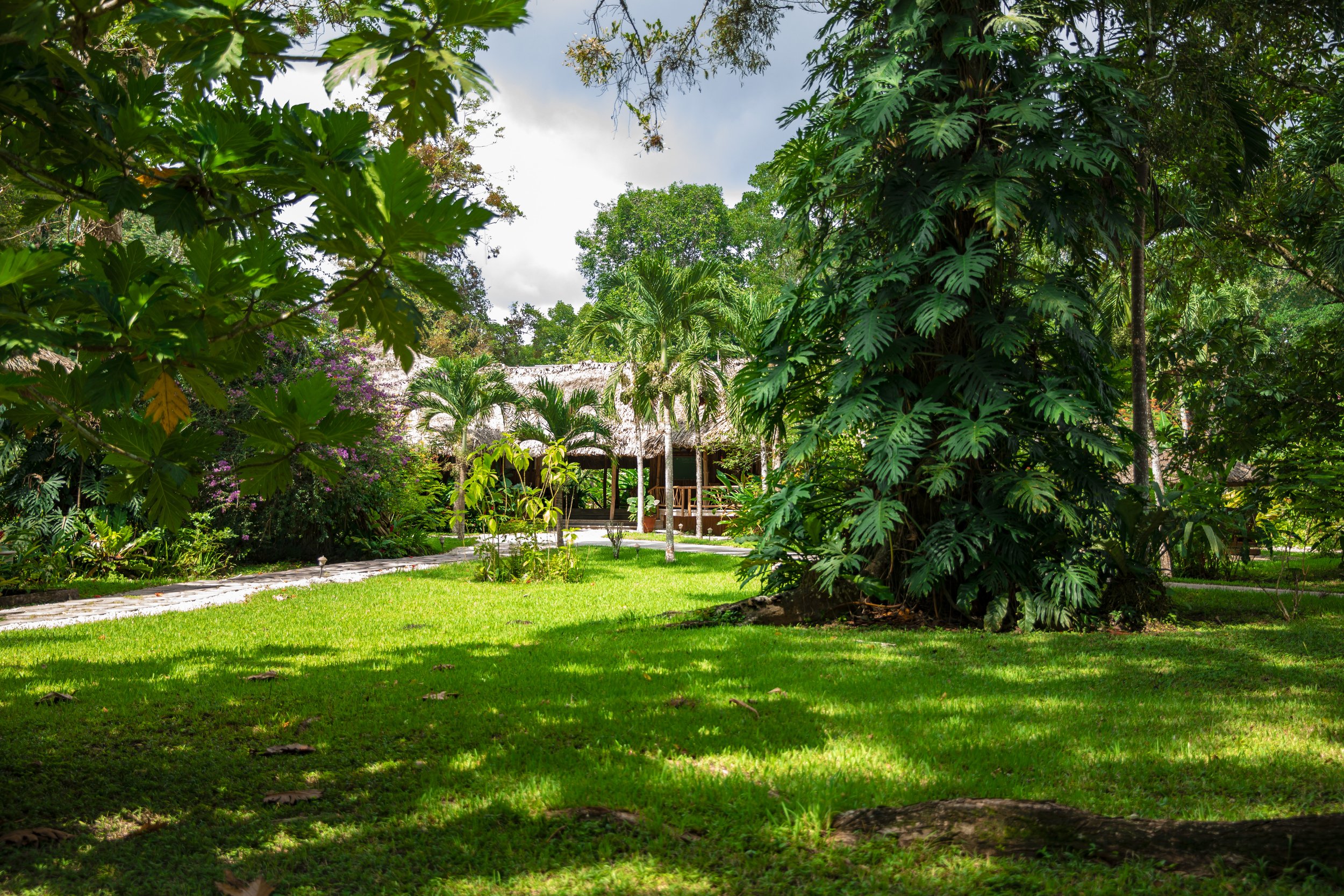 Mown lawn and tropical trees with a path leading to a thatched-roof cabana