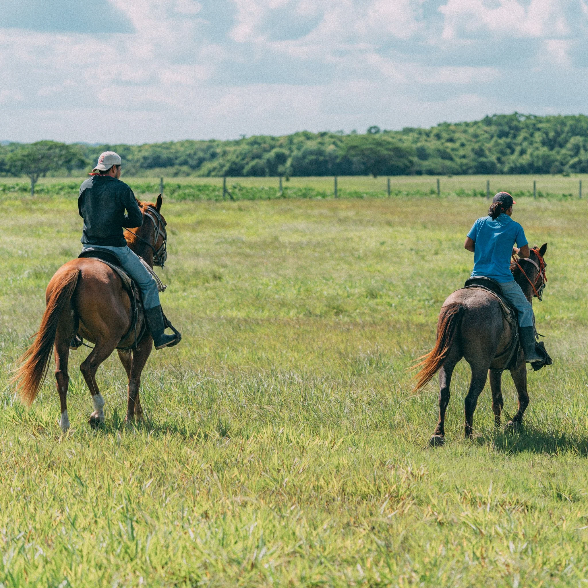 Two people riding horses in a grassy open field with a fence and green hills in the background under a partly cloudy sky.