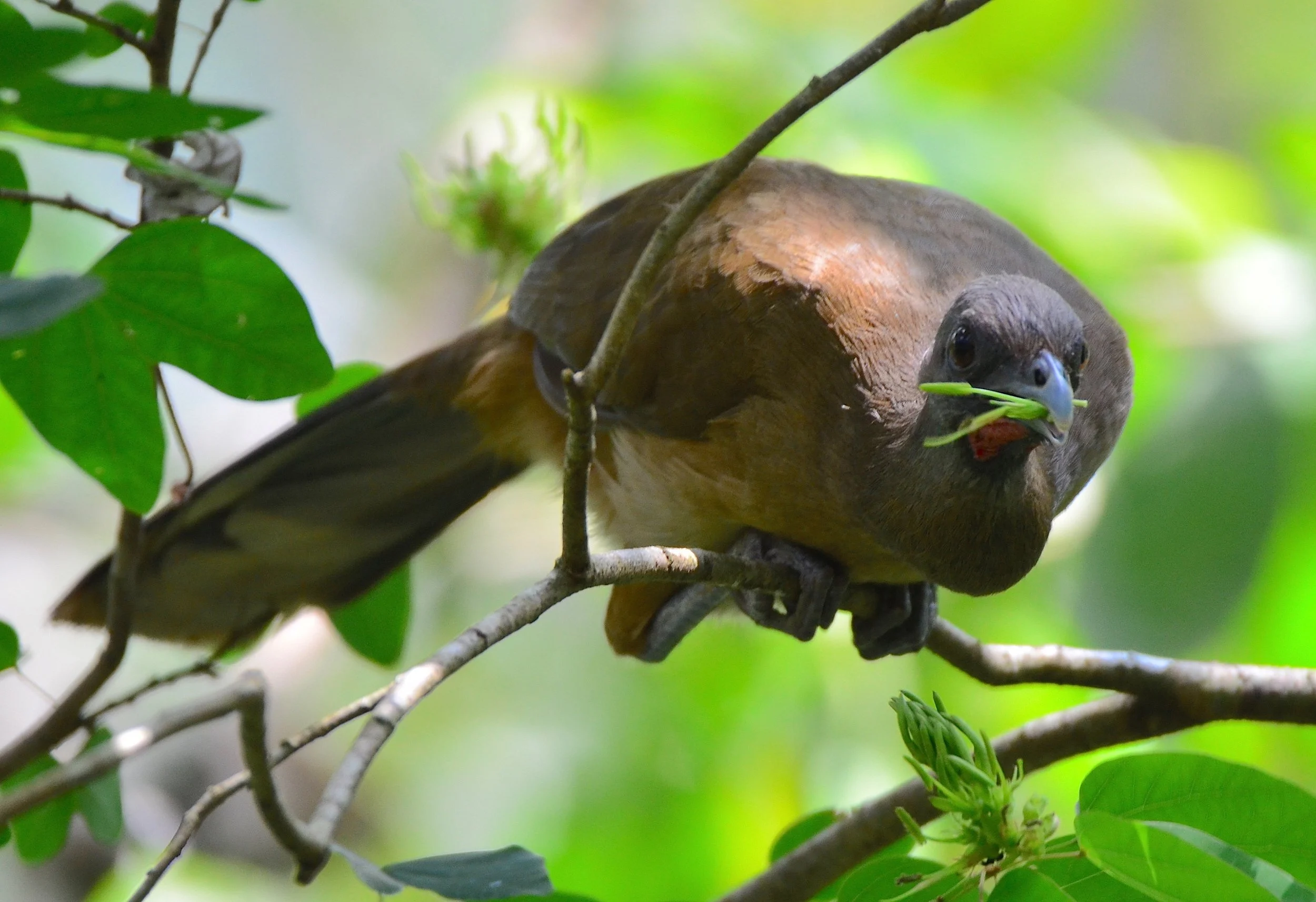 DSC_2692.JPG
