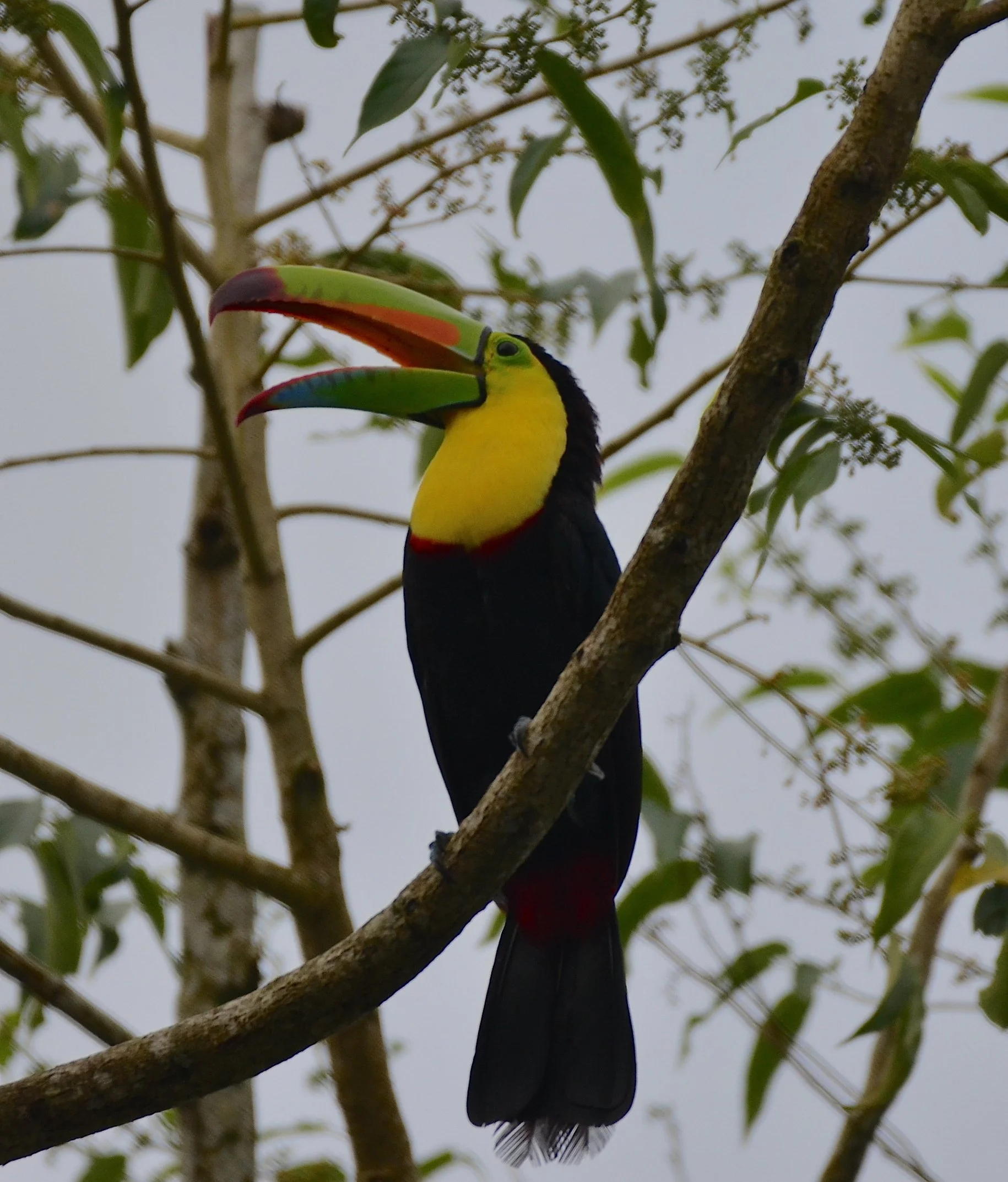 DSC_0224 2.JPG