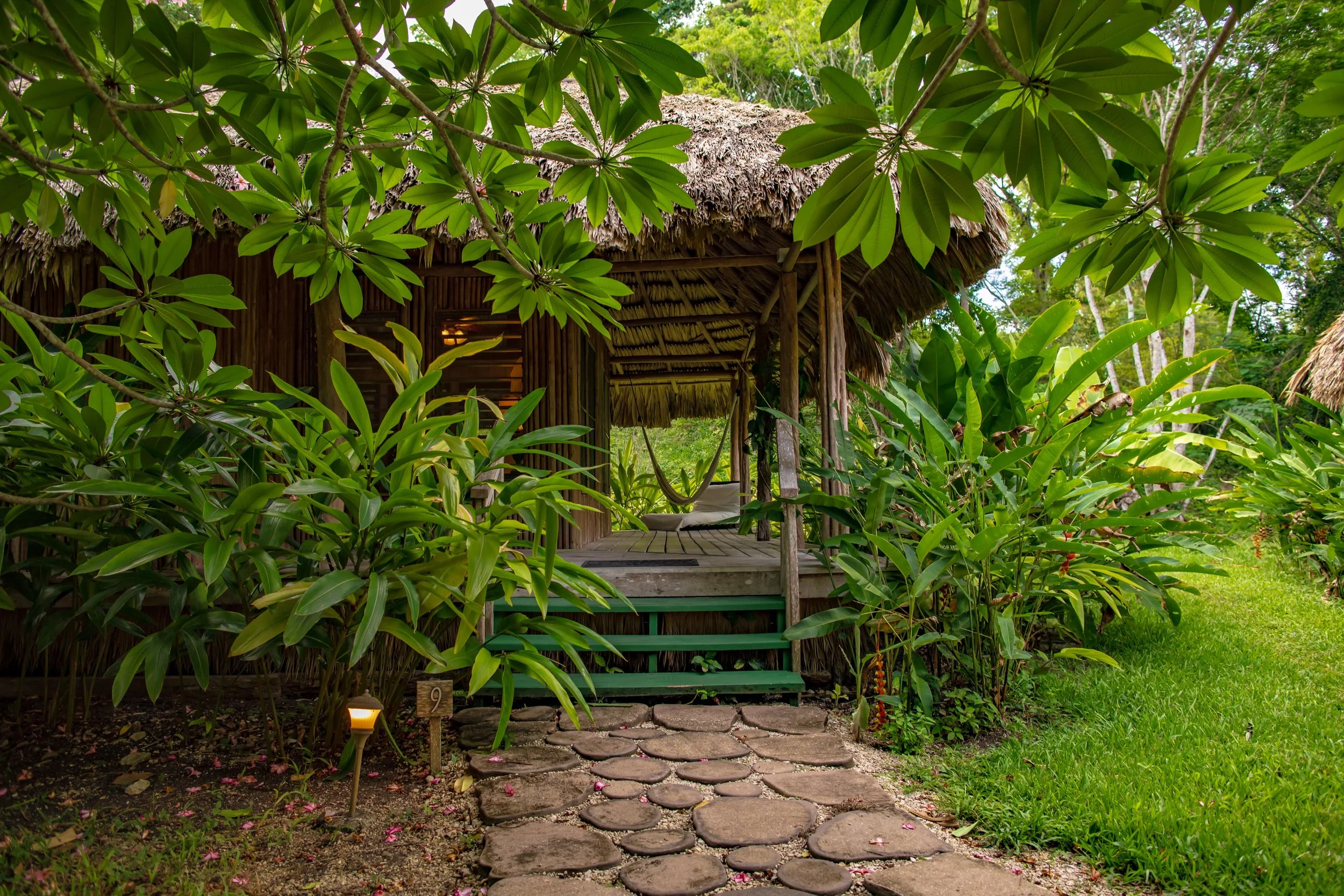 Thatched cabana among dense tropical plants, reached by a stone path