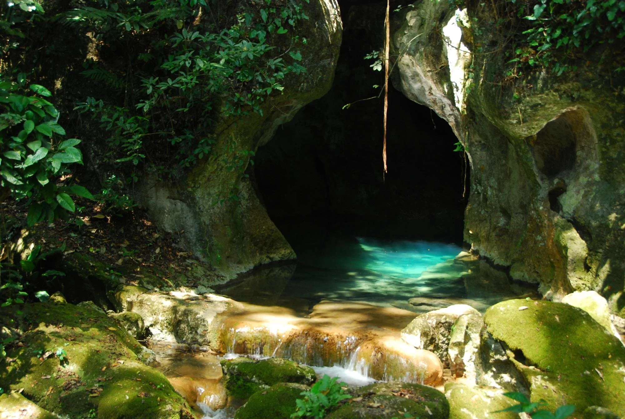 A view of a dark cave entrance with clear blue water flowing out, surrounded by mossy rocks and lush green foliage.