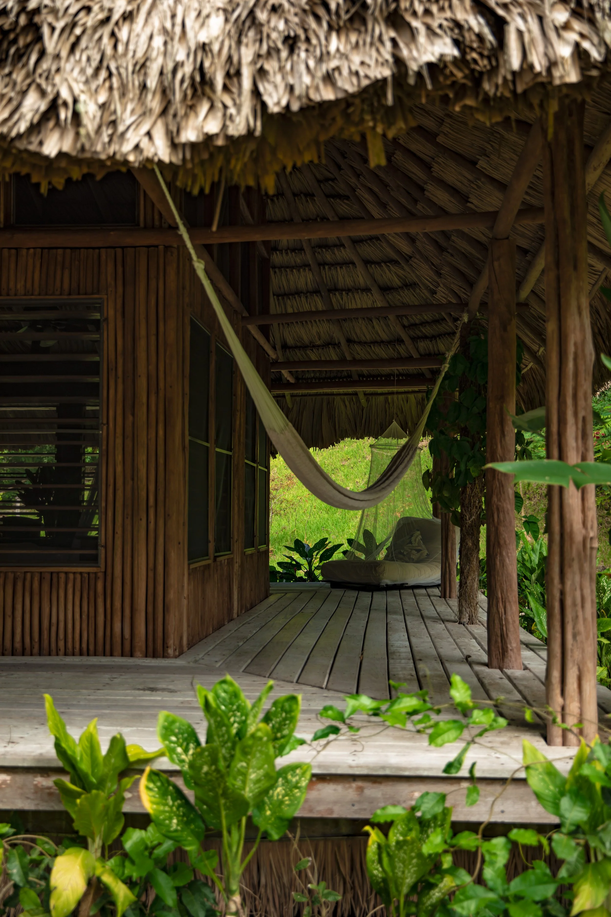 A thatched-roof veranda with wooden support beams, a hammock tied between two beams, and a seating area with a cushioned chair surrounded by green plants.