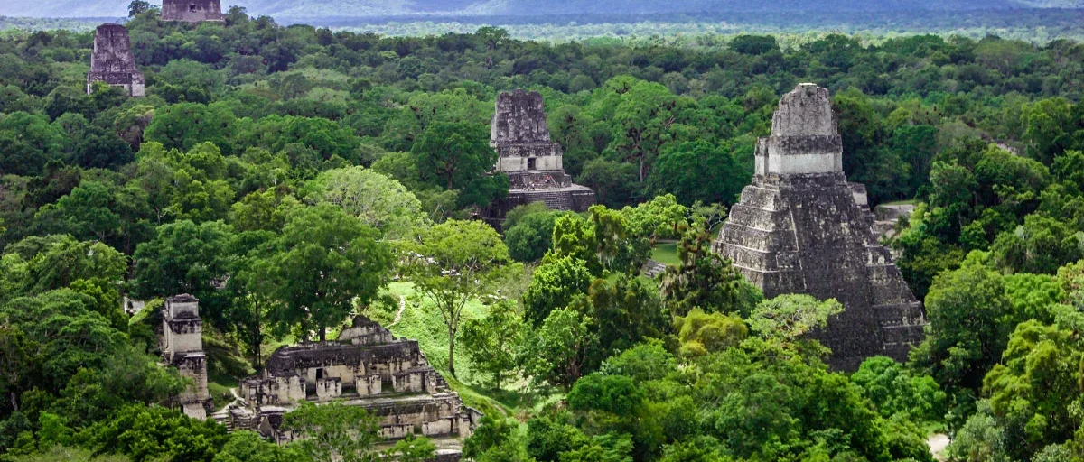 Aerial view of the ancient Maya ruins of Tikal rising above dense rainforest